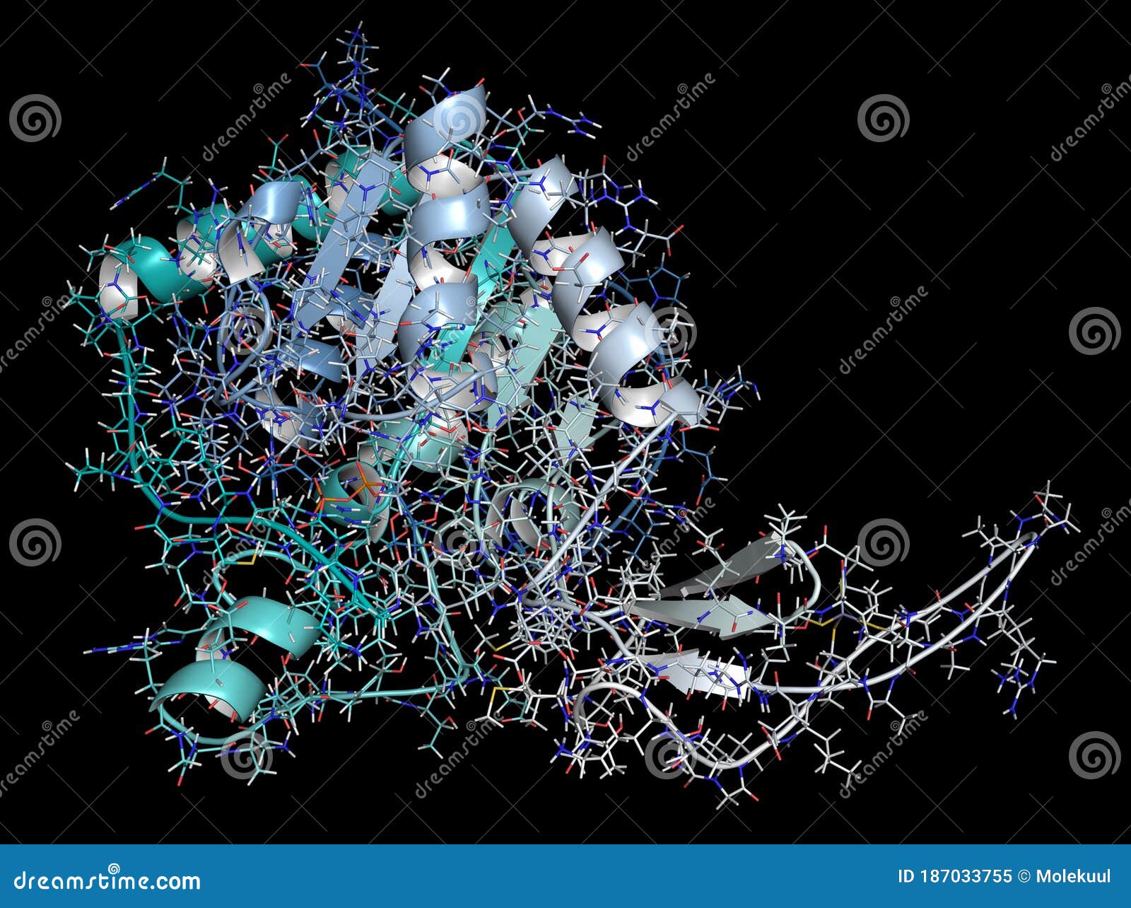 sirtuin 6 (sirt6) protein. linked to longevity in mammals