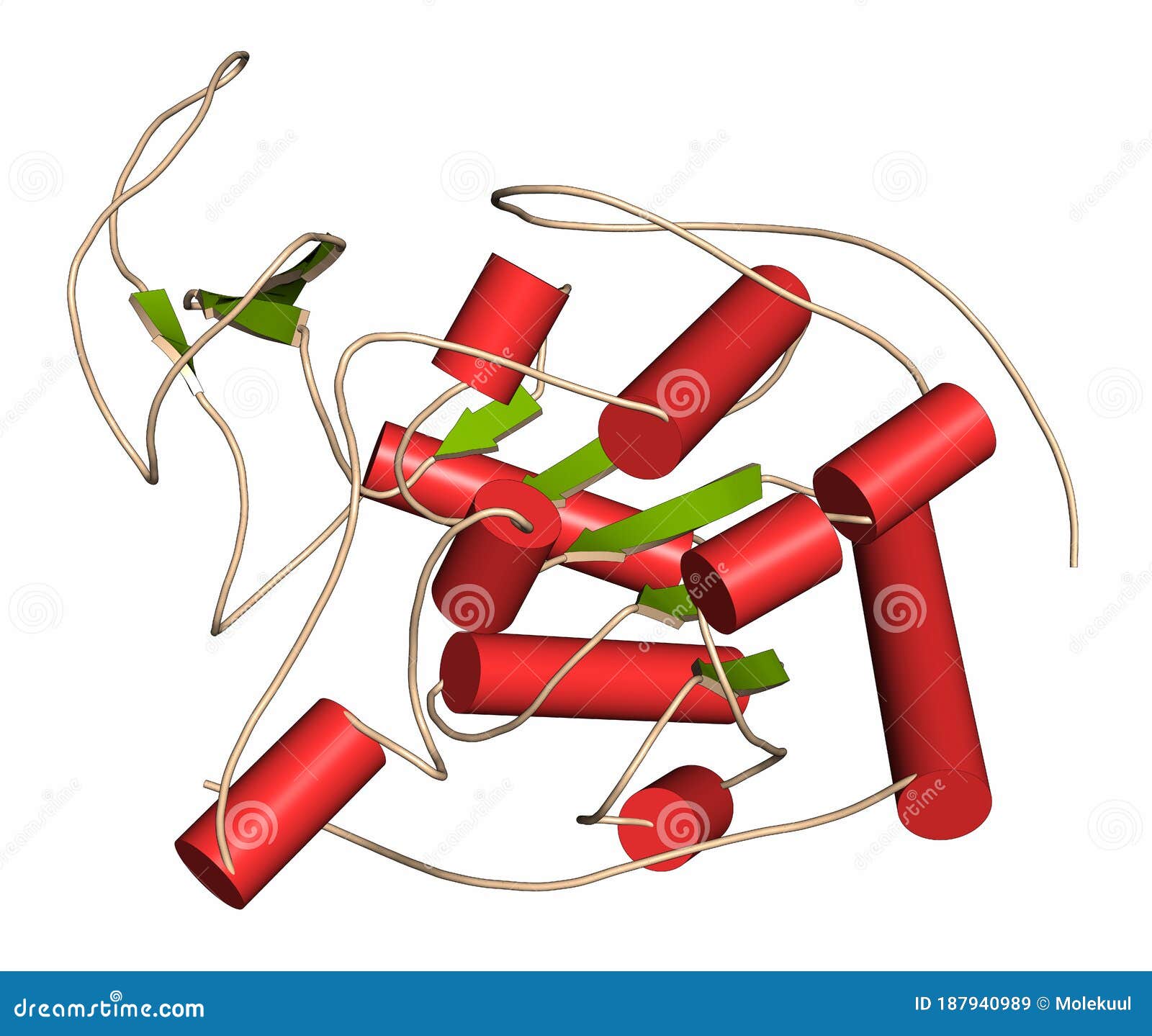 Sirtuin 6 SIRT6 Protein. Linked To Longevity in Mammals Stock Illustration - Illustration of inflammation, pdb3pki: 187940989 Sirtuin 6 SIRT6 Protein. Linked To Longevity in Mammals Stock Illustration - Illustration of inflammation, pdb3pki: 187940989