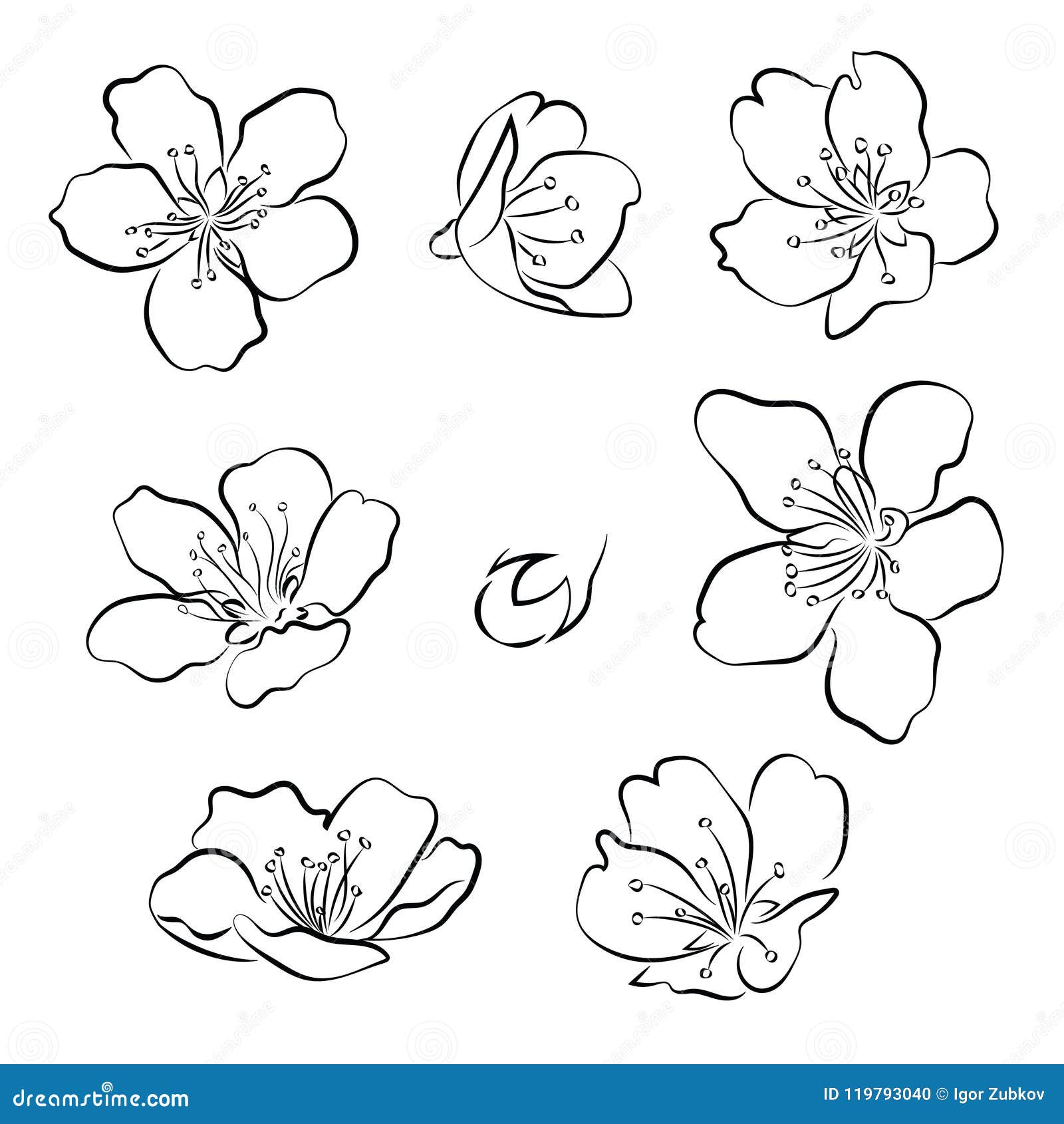 Sistema De Flores De Cerezo Colección De Flores De Sakura Dibujo Blanco Y Negro De Las Flores De La Primavera Arte Linear Tatuaje Ilustración del Vector - Ilustración de cubo, conjunto: 119793040 Sistema De Flores De Cerezo Colección De Flores De Sakura Dibujo Blanco Y Negro De Las Flores De La Primavera Arte Linear Tatuaje Ilustración del Vector - Ilustración de cubo, conjunto: 119793040