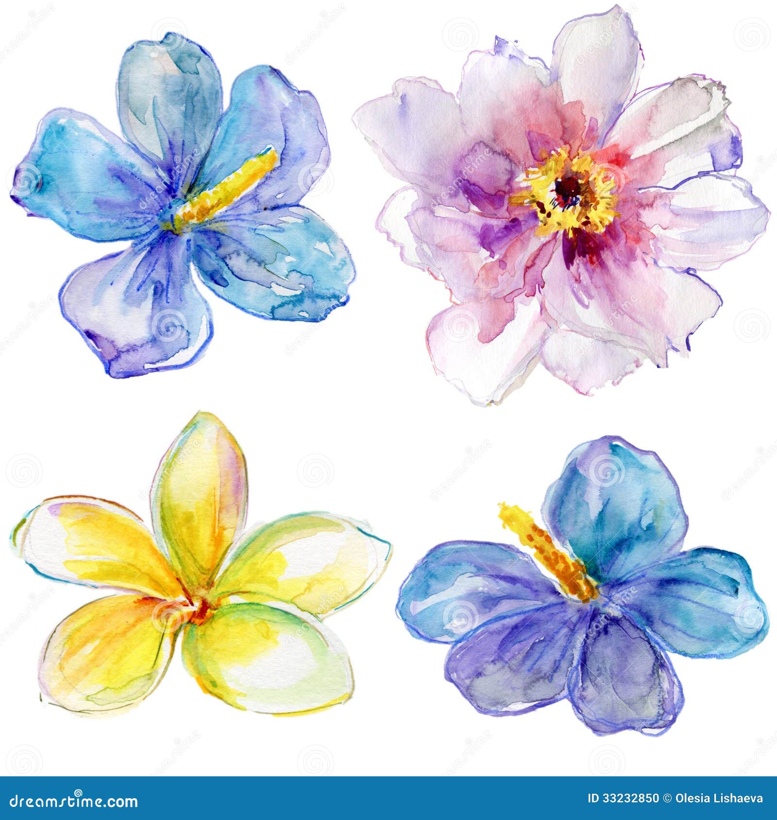 Sistema De Flores De La Acuarela. Stock de ilustración - Ilustración de pétalo, estacional: 33232850 Sistema De Flores De La Acuarela. Stock de ilustración - Ilustración de pétalo, estacional: 33232850
