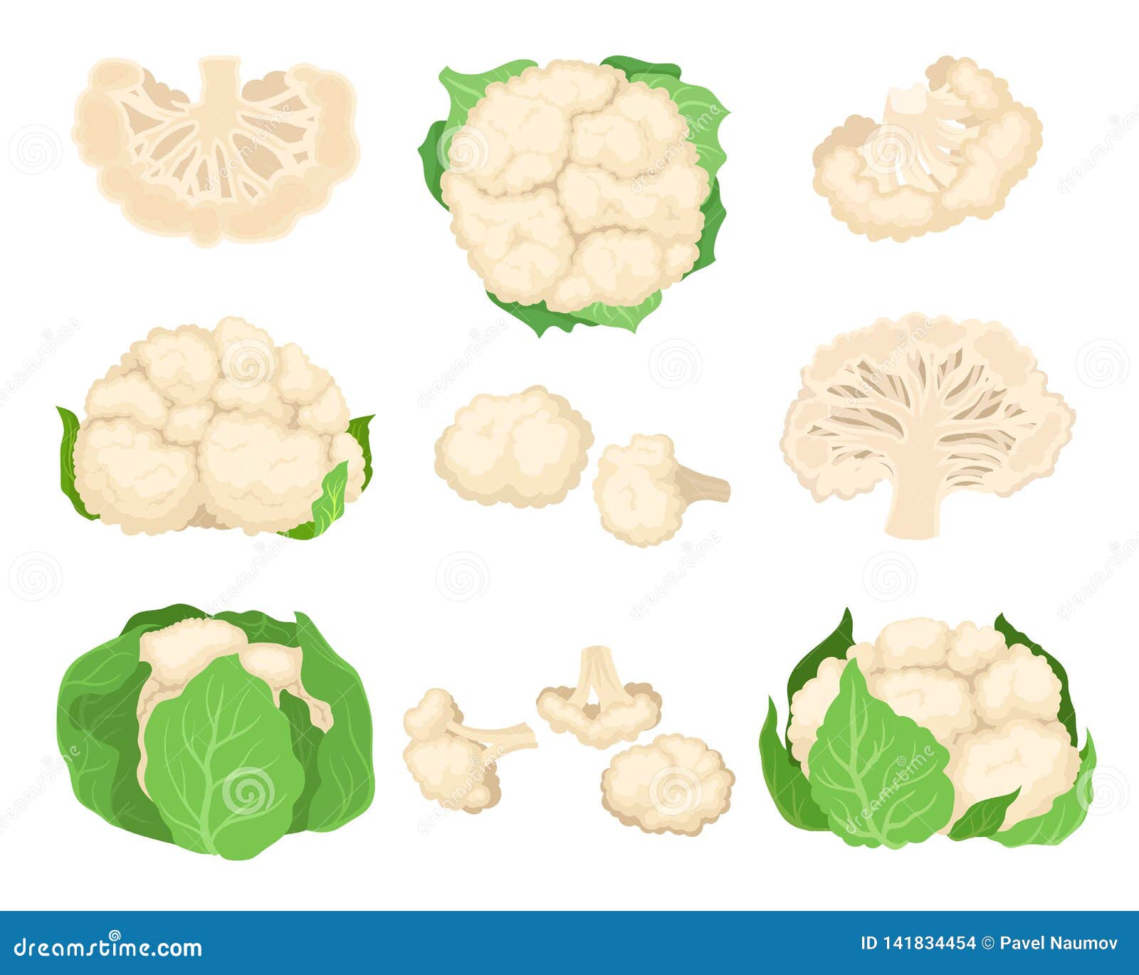 Sistema De La Coliflor Collage De Verduras Frescas Ilustración Del Vector  Ilustración del Vector - Ilustración de coliflor, cubo: 141834454