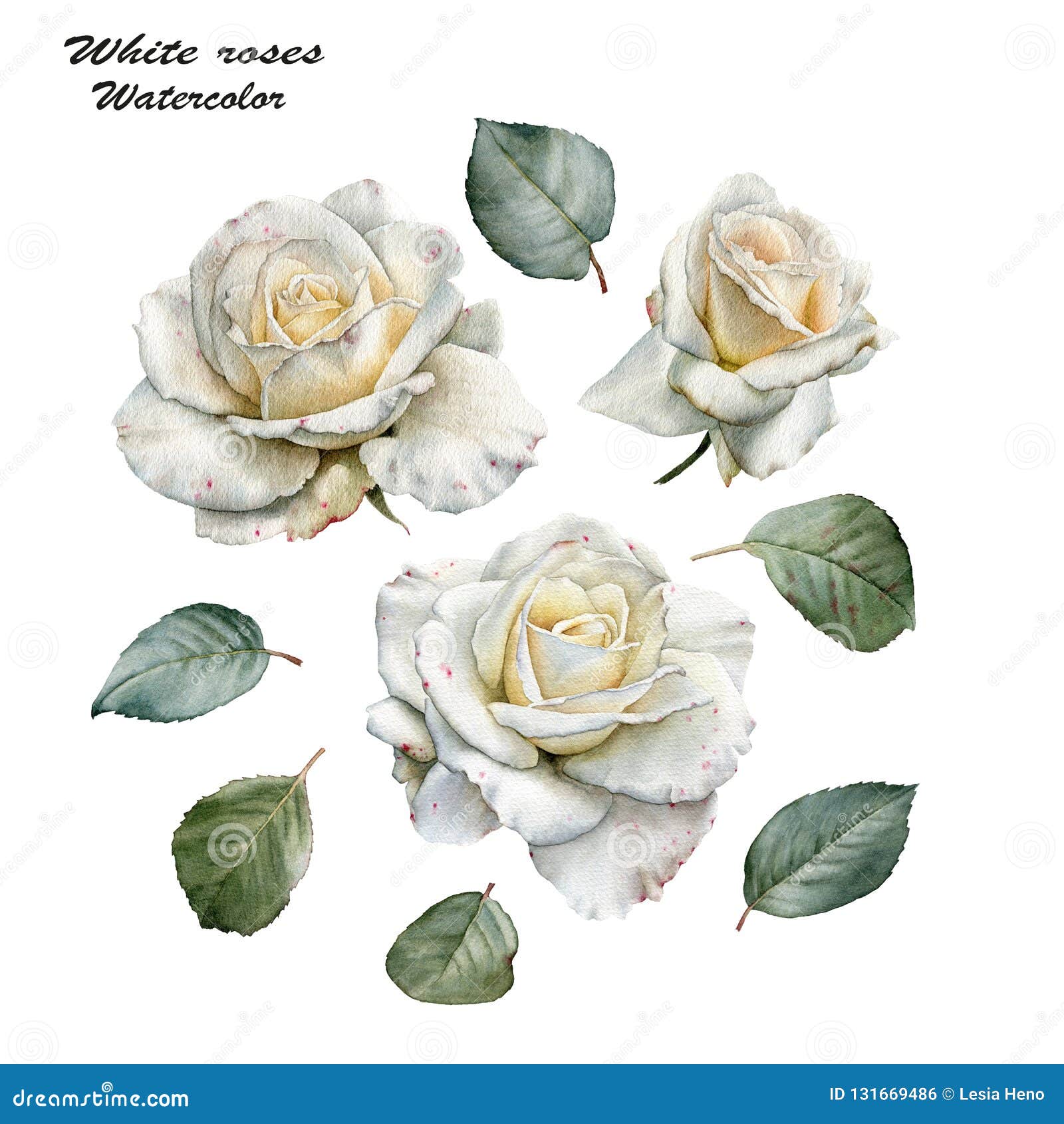 Sistema De Las Flores De Las Rosas Blancas Y De Las Hojas De La Acuarela  Stock de ilustración - Ilustración de saludo, hojas: 131669486