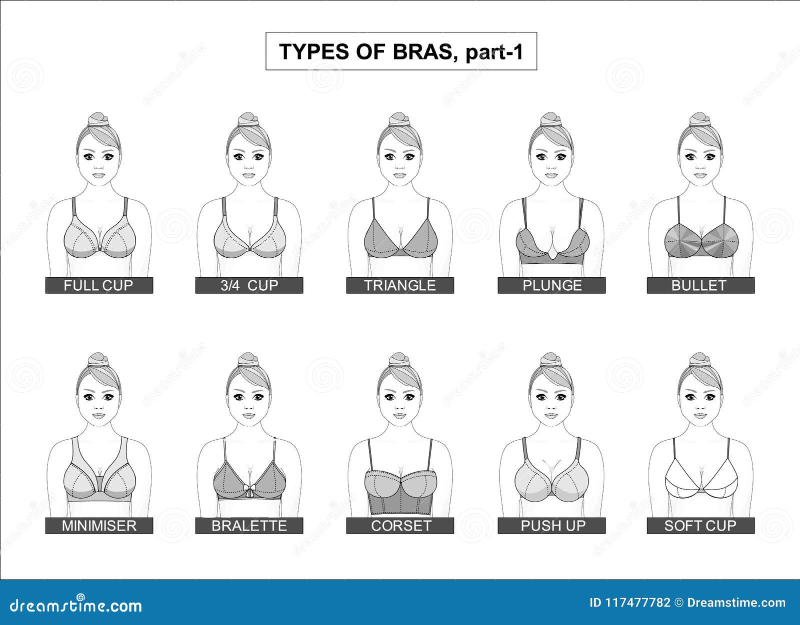Sistema De Los Tipos De Sujetadores Femeninos Ilustración del Vector - Ilustración de tipos, sujetadores: 117477782