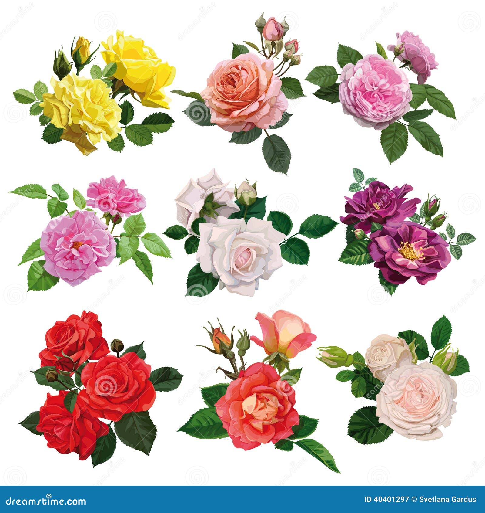 Sistema De Rosas Multicoloras Ilustración del Vector - Ilustración de  vector, rosas: 40401297
