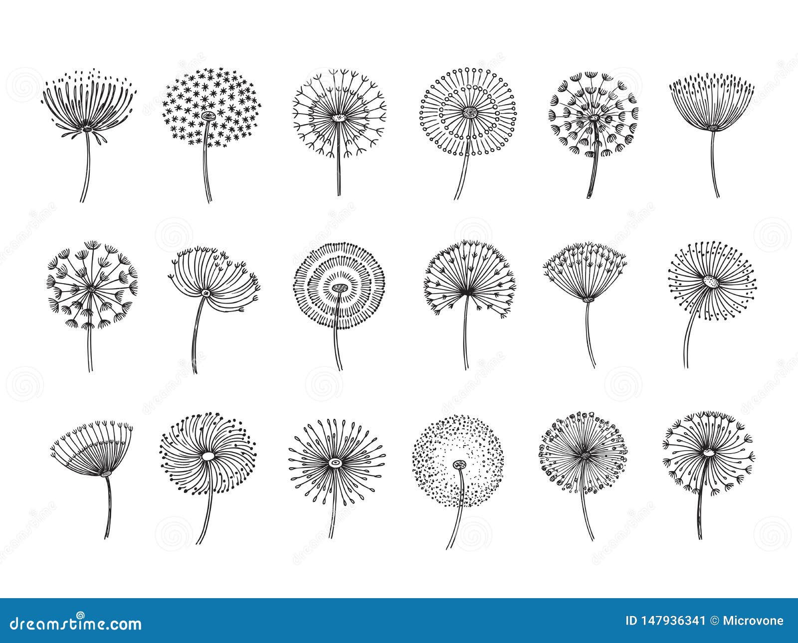 wallpapers Flor Diente De Leon Vector diente de leon vector aislado flor