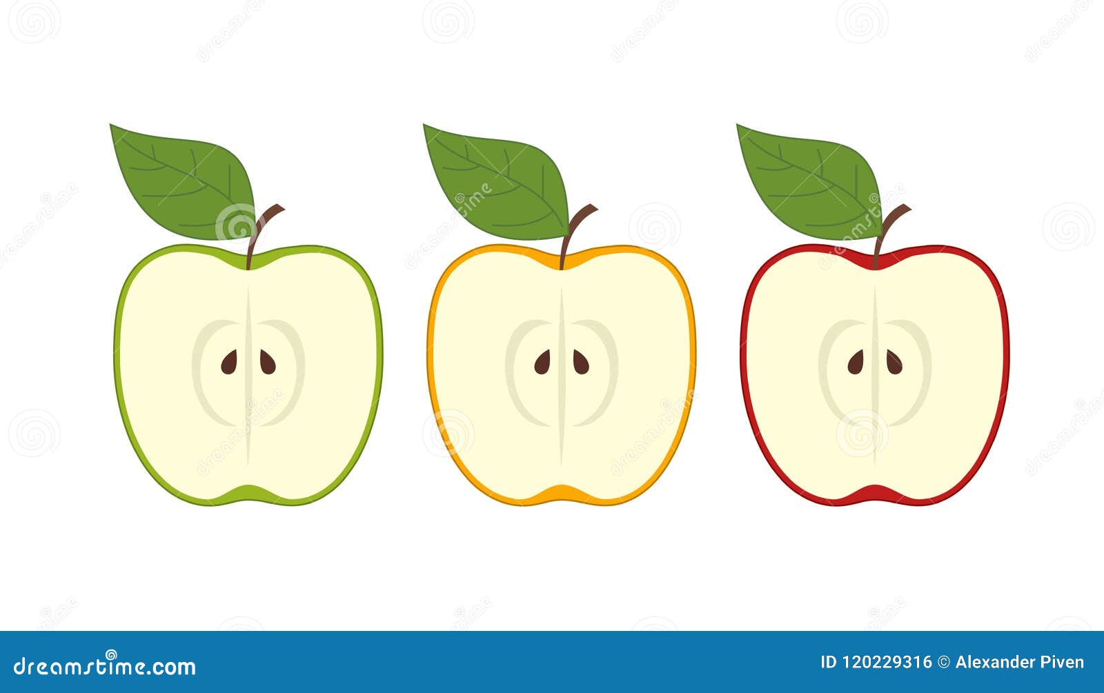 Sistema Del Vector De Manzanas Mitad Del Vector De La Manzana Ejemplo Del Vector De Las Manzanas Ilustración del Vector - Ilustración de conjunto, icono: 120229316 Sistema Del Vector De Manzanas Mitad Del Vector De La Manzana Ejemplo Del Vector De Las Manzanas Ilustración del Vector - Ilustración de conjunto, icono: 120229316