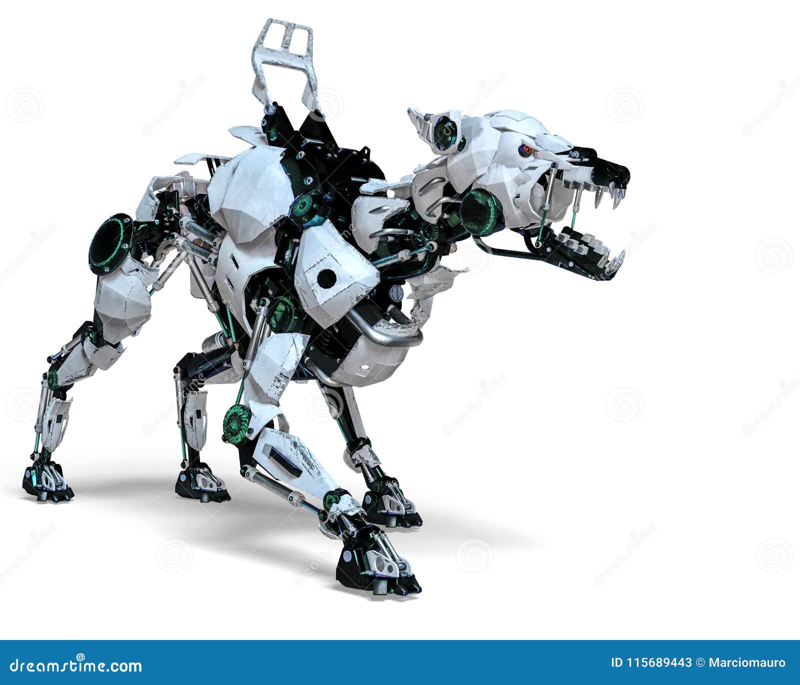 Cani Da Guardia Di Bestiame Che Lavorano Non Disturbare - Foto 10