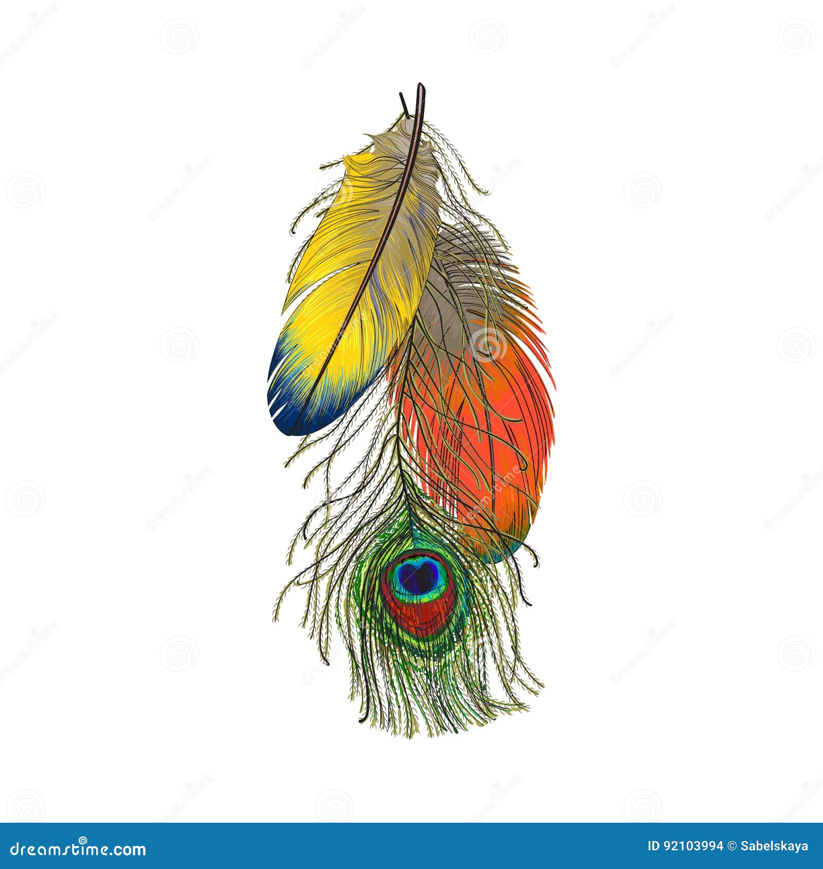Sistema Dibujado Mano De Las Plumas, De Los Loros Y Del Pavo Real Coloridos  De Pájaro Ilustración del Vector - Ilustración de avena, pluma: 92103994