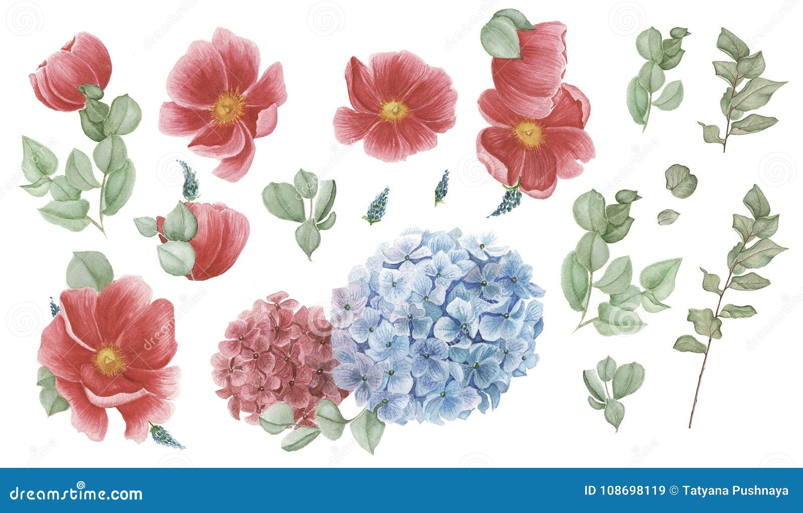 Sistema Floral Con Las Anémonas Rojas, Hortensia Roja Y Azul Y Hojas  Verdes, Pintura De La Acuarela Stock de ilustración - Ilustración de flora,  ramificaciones: 108698119