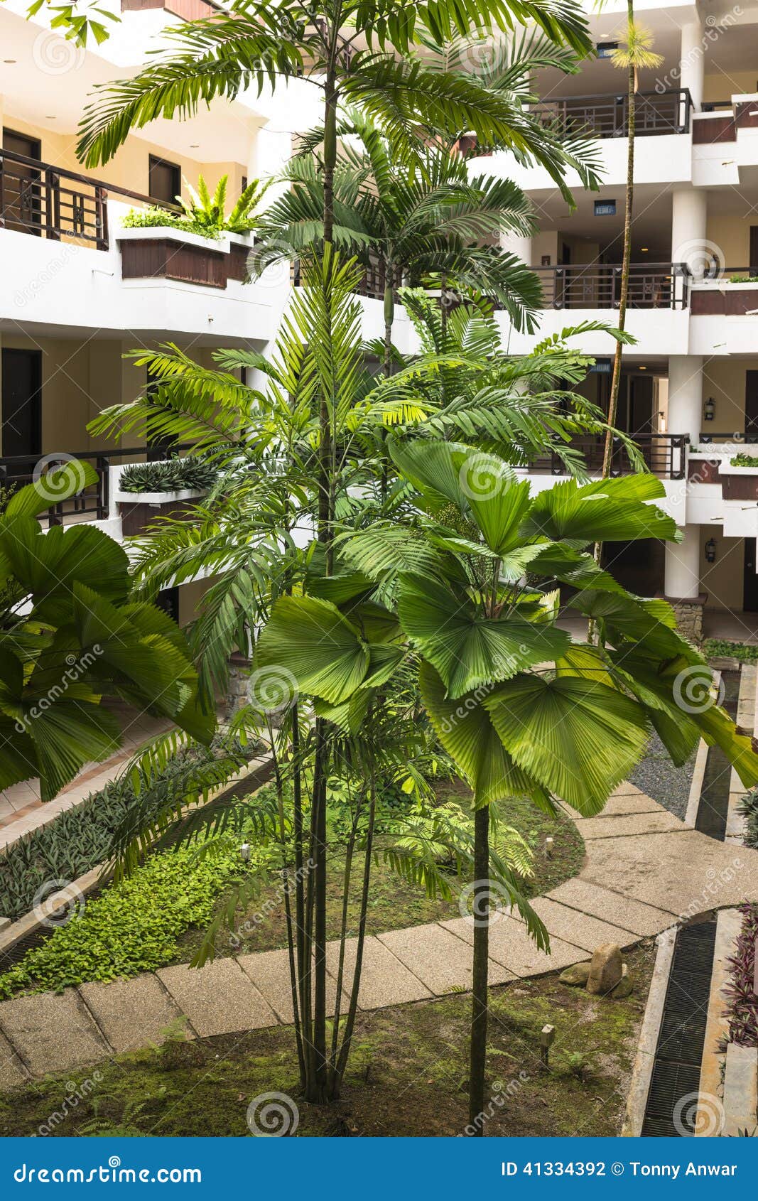Sistemazione tropicale. Sistemazione di hotel tropicale con la palma di legno e dell'inferriata
