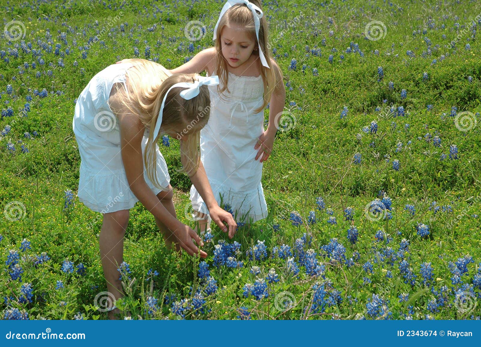Sisters in Flowers stock photo. Image of friends, green 2343674