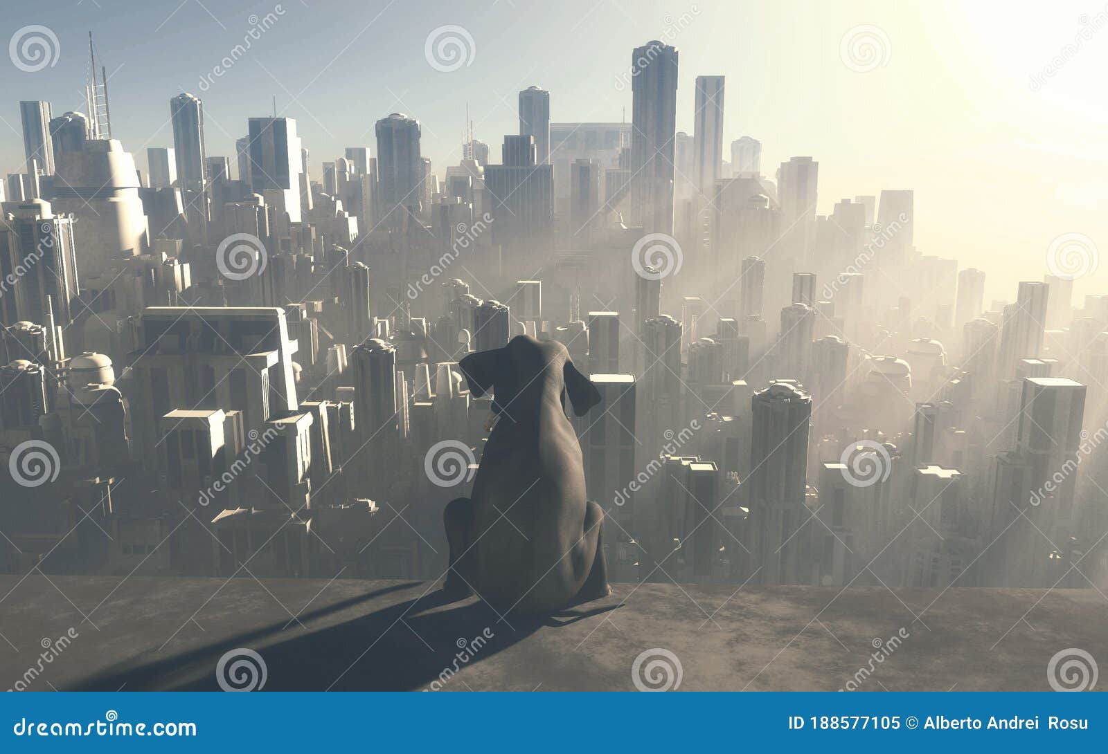 sitting elephant looking at a big city during sunset . industrialization and global warming concept.