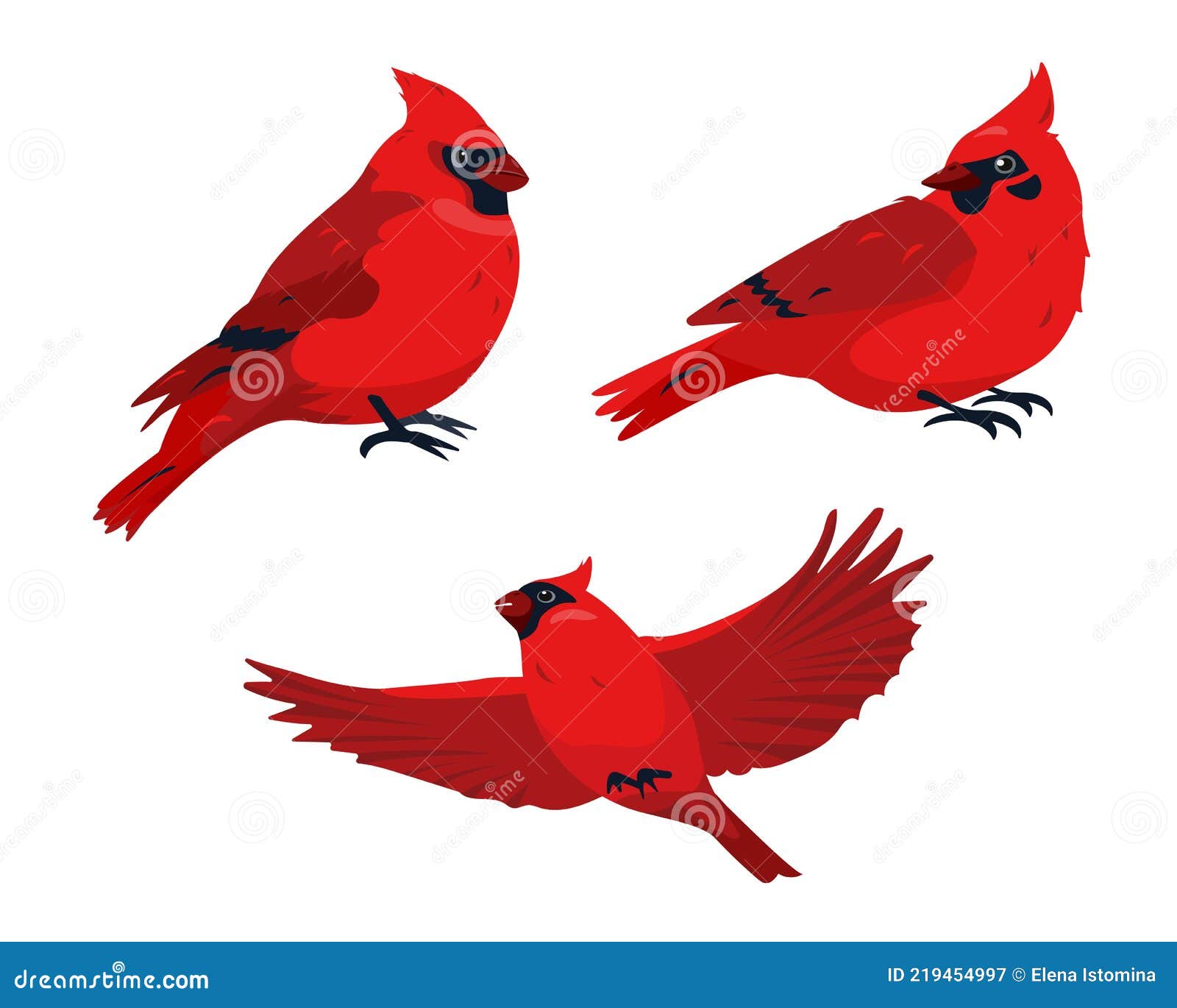 sitting and flying red cardinal bird icons 