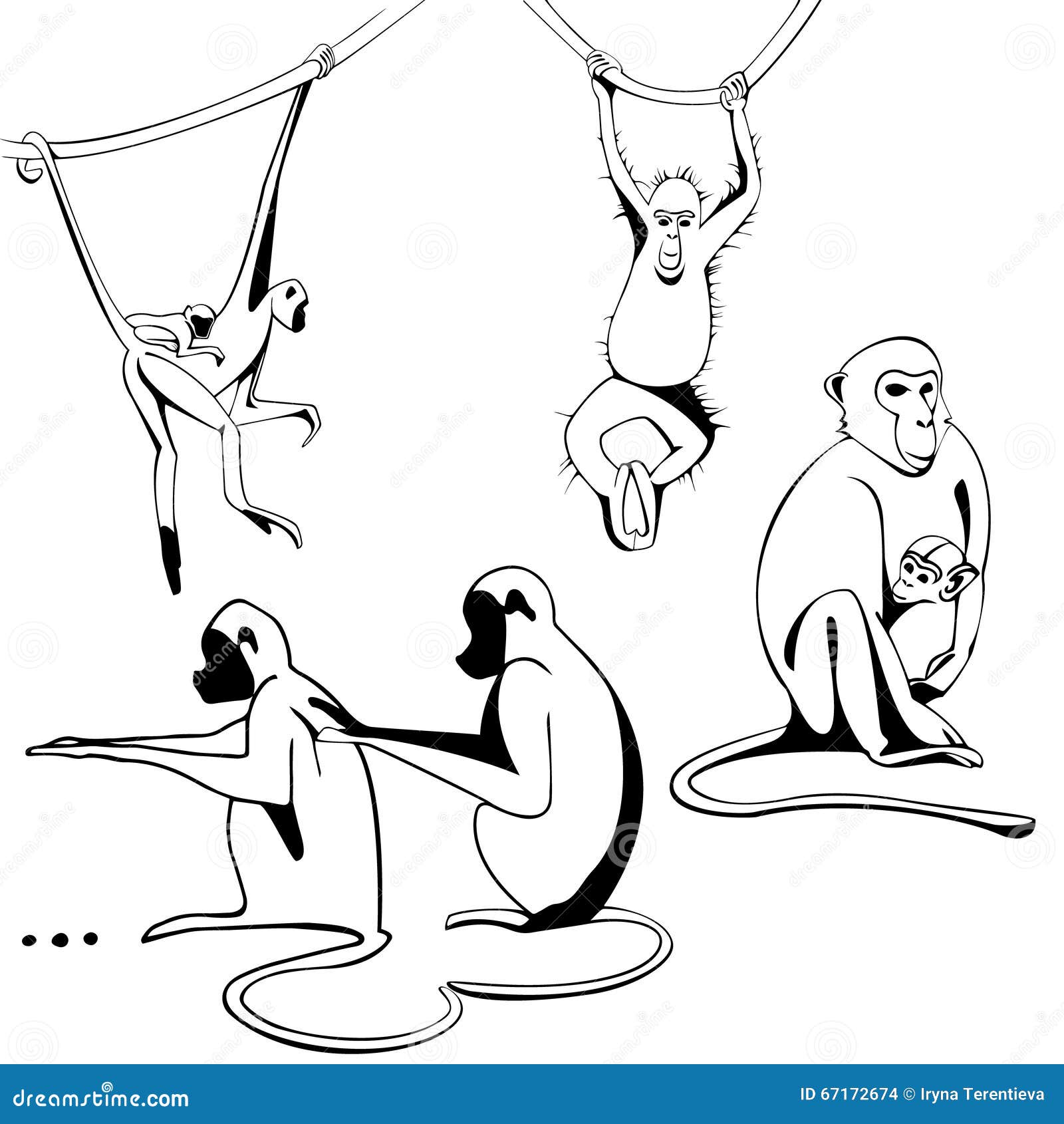 sitting hanging monkey outline drawing black line isolated vector illustration four monkeys 67172674
