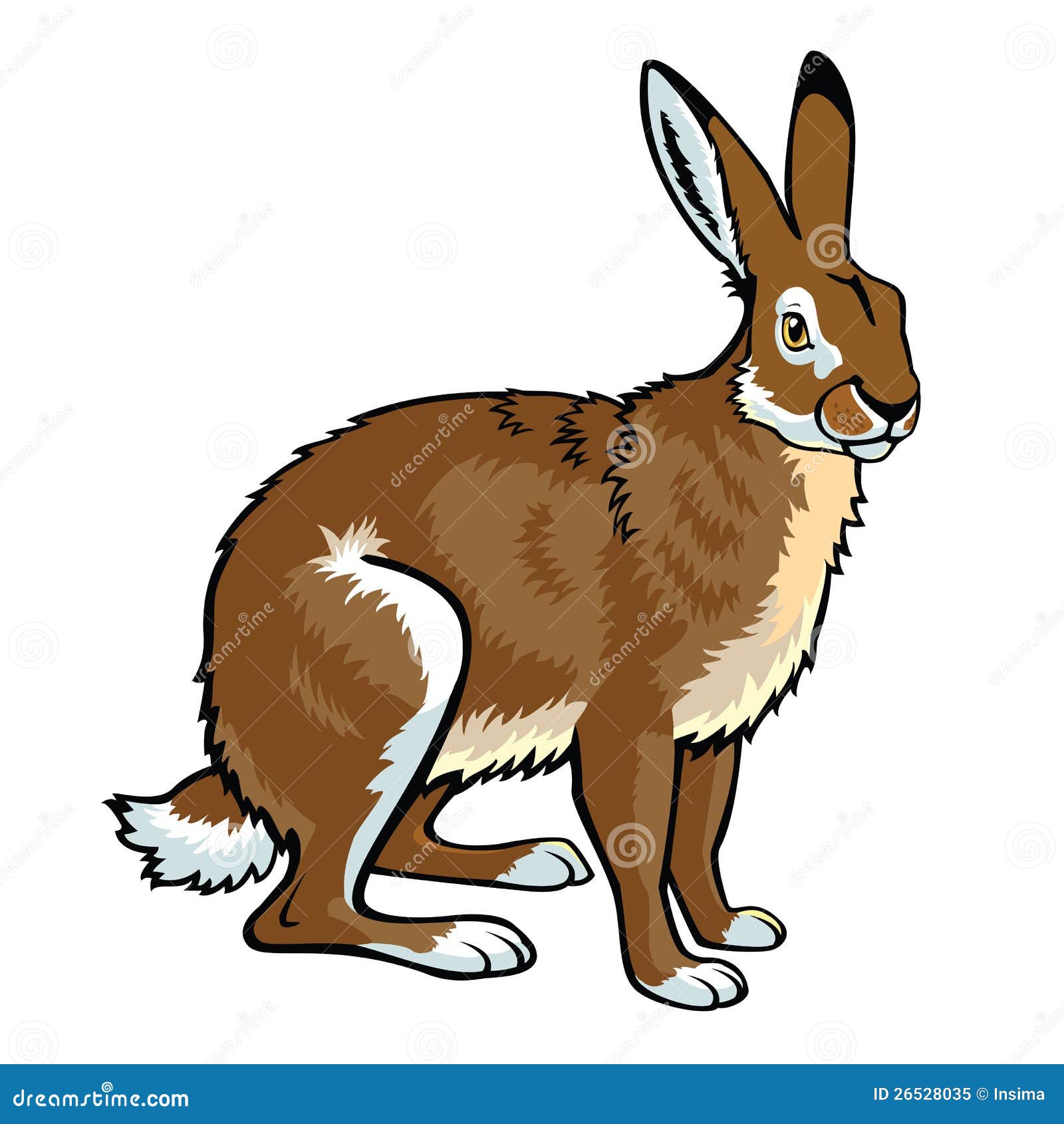 hare picture clipart