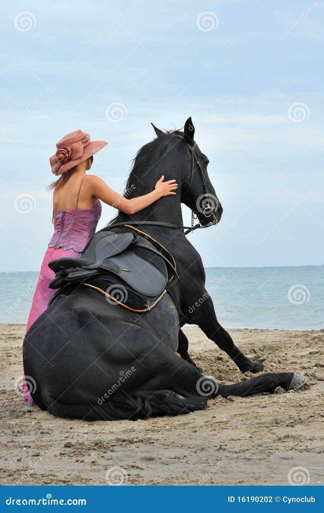 Sitting horse on the beach stock photo. Image of beach 16190202