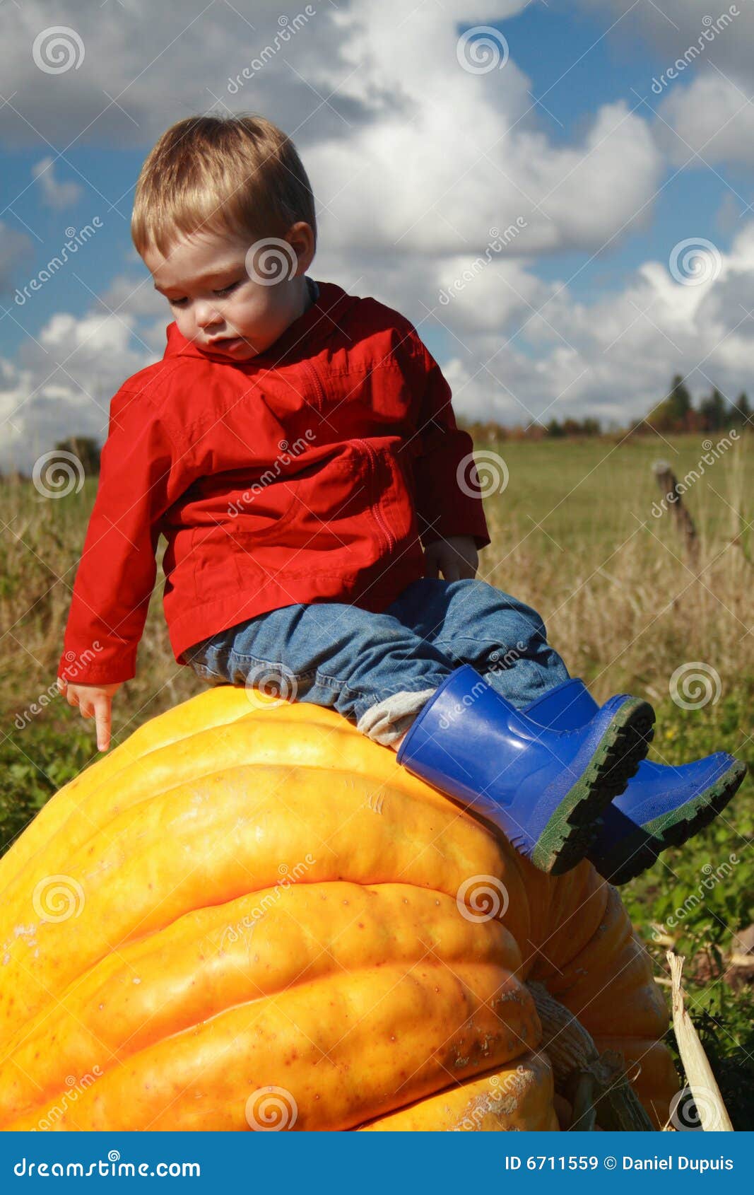 Free Download Pumpkin Patch Winter Coat Programs