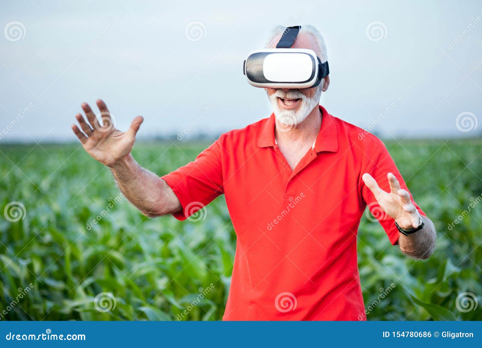 Senior agronomist or farmer standing in corn field and using VR goggles. Senior agronomist or farmer in red polo shirt standing in green corn field and using virtual reality goggles. Organic food production