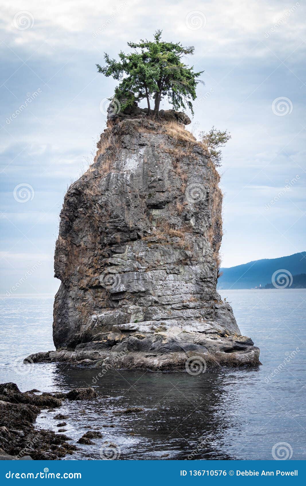 The Siwash Rock, Also Called the Nine Pin Rock Stock Photo - Image of  ocean, nature: 136710576