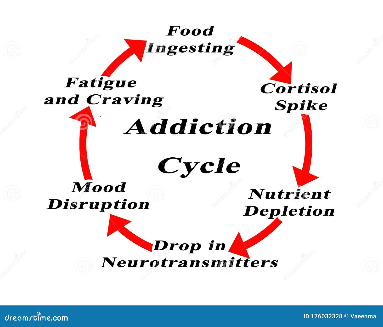 Different Stages Of Addiction