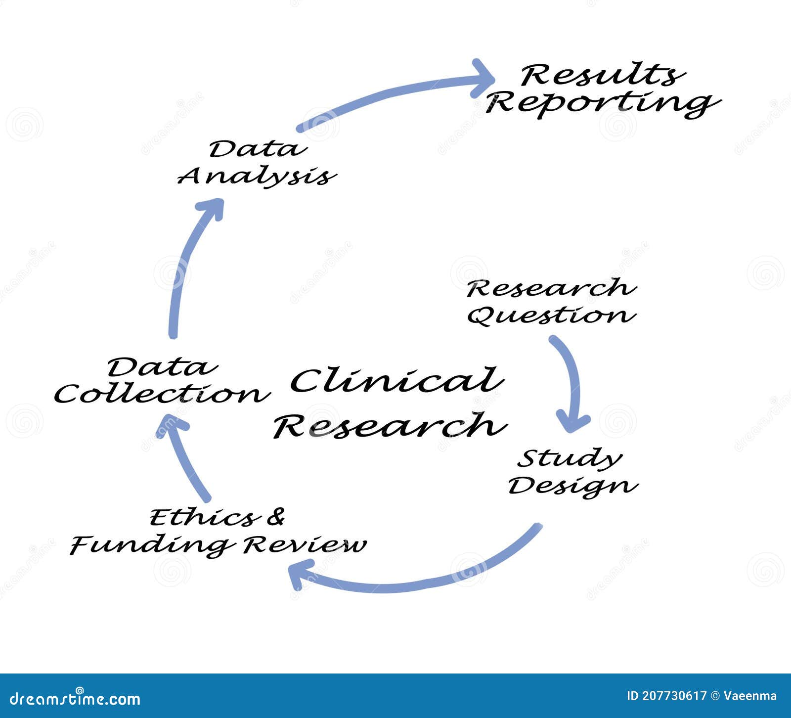 parts of a medical research