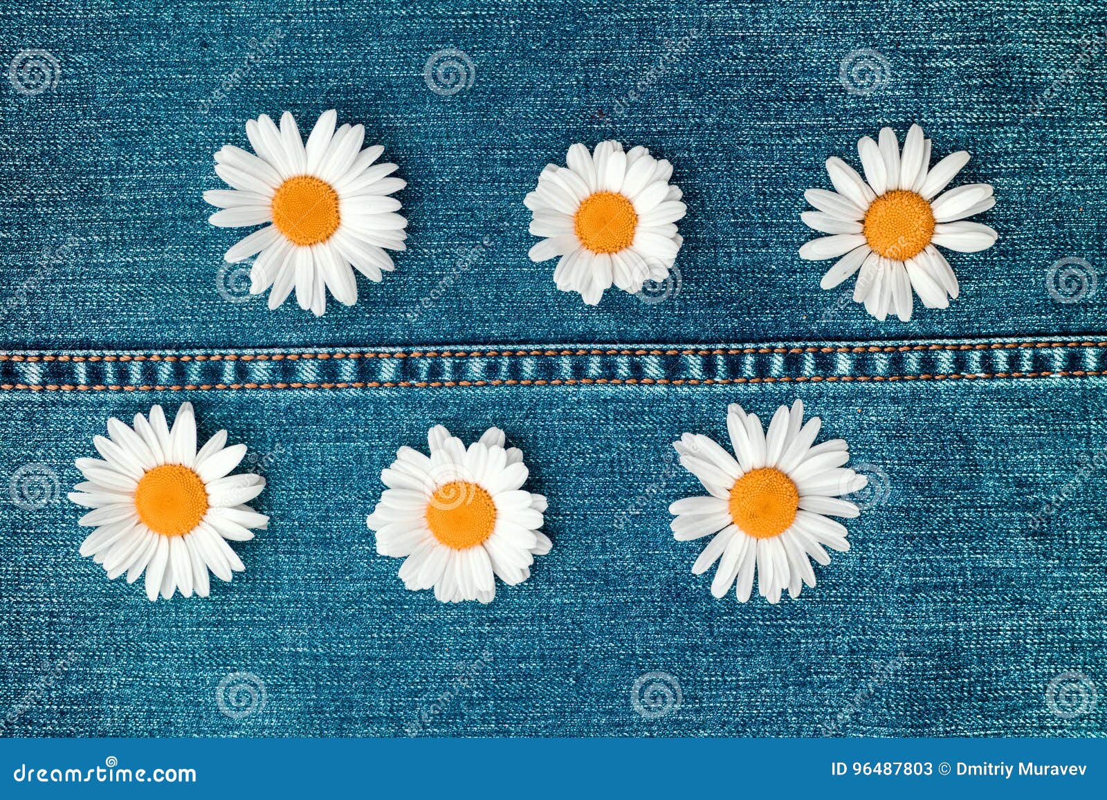 Six Daisies on a Jeans Textile Background of Light Blue Denim Stock Image Image of romantic
