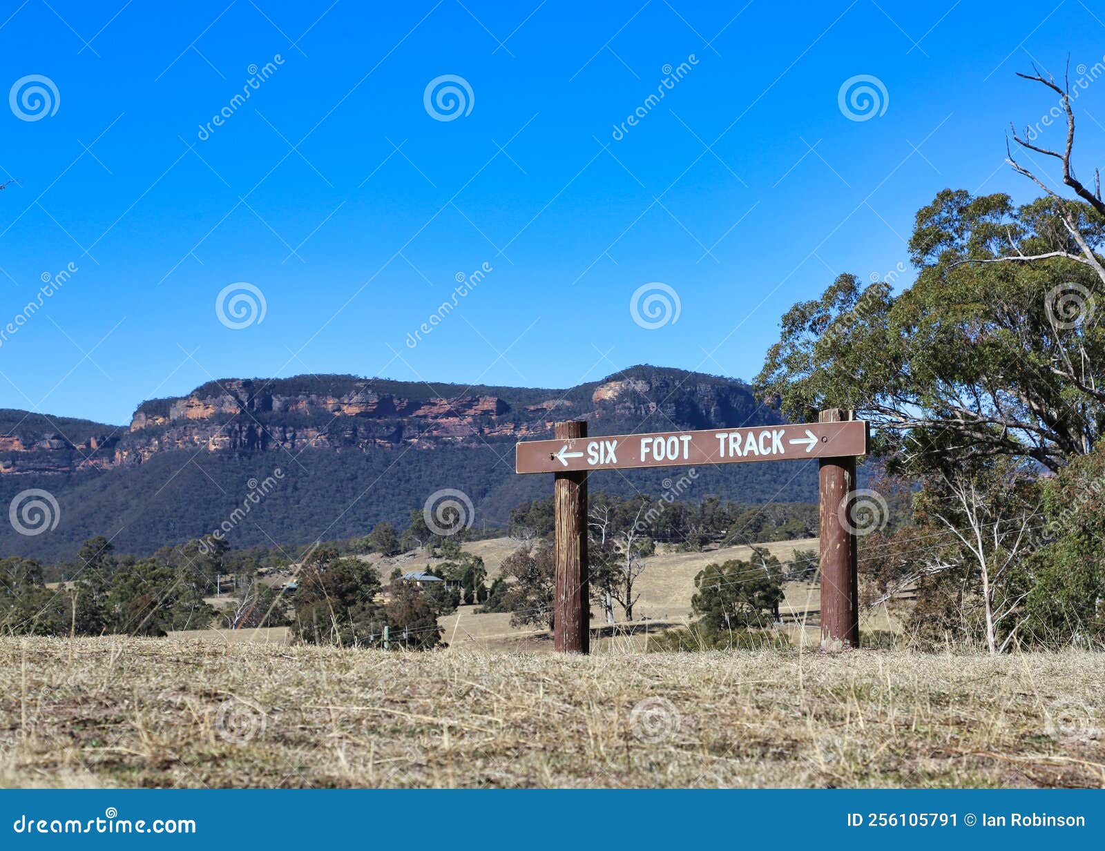 Six Foot Track Stock Image Image Of Adventure Katoomba 256105791 six-foot-track-stock-image-image-of-adventure-katoomba-256105791