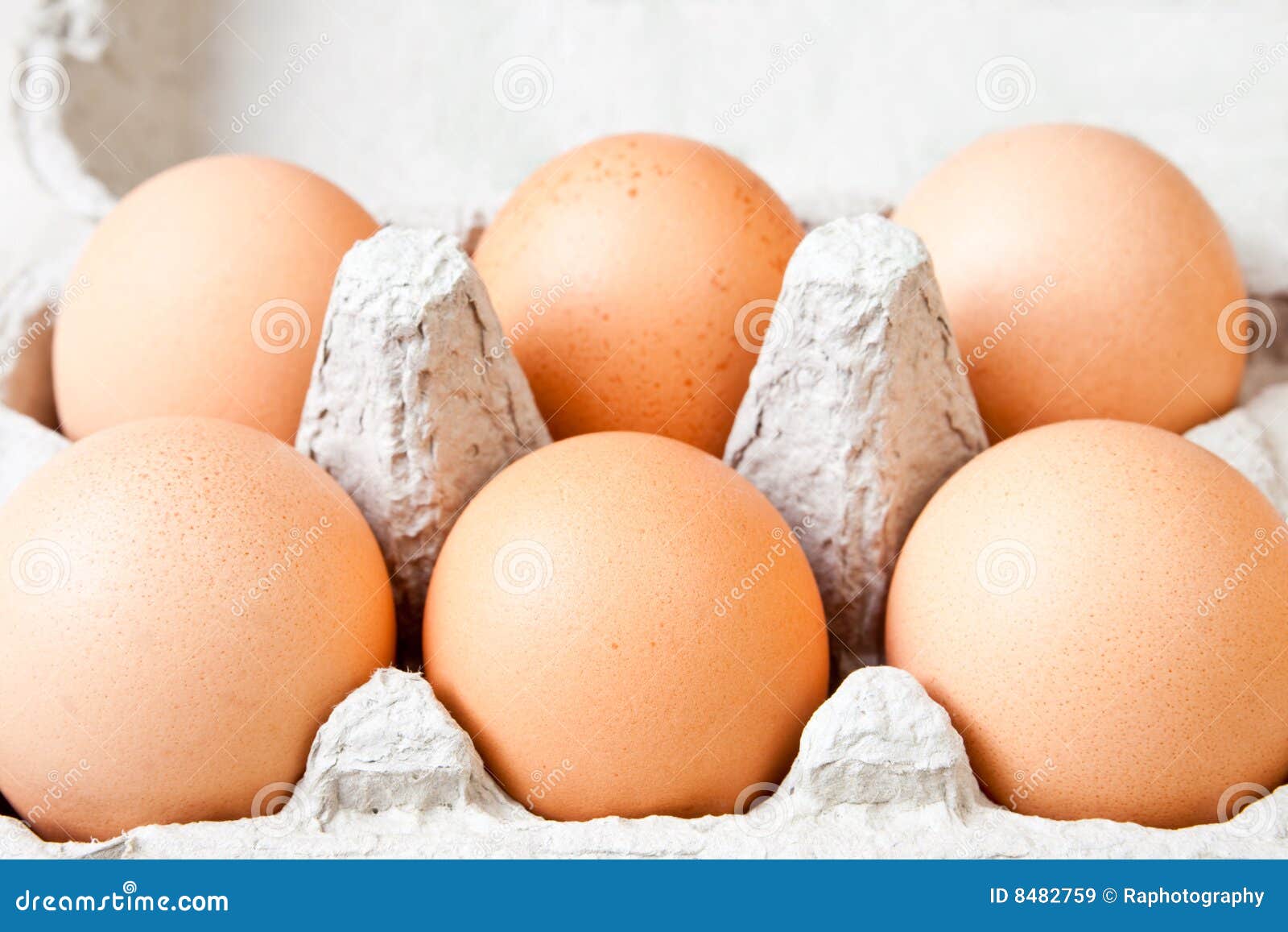 Six fresh eggs stock image. Image of texture, shell, eggs 8482759