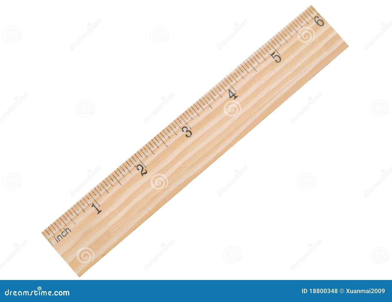 a six inch ruler