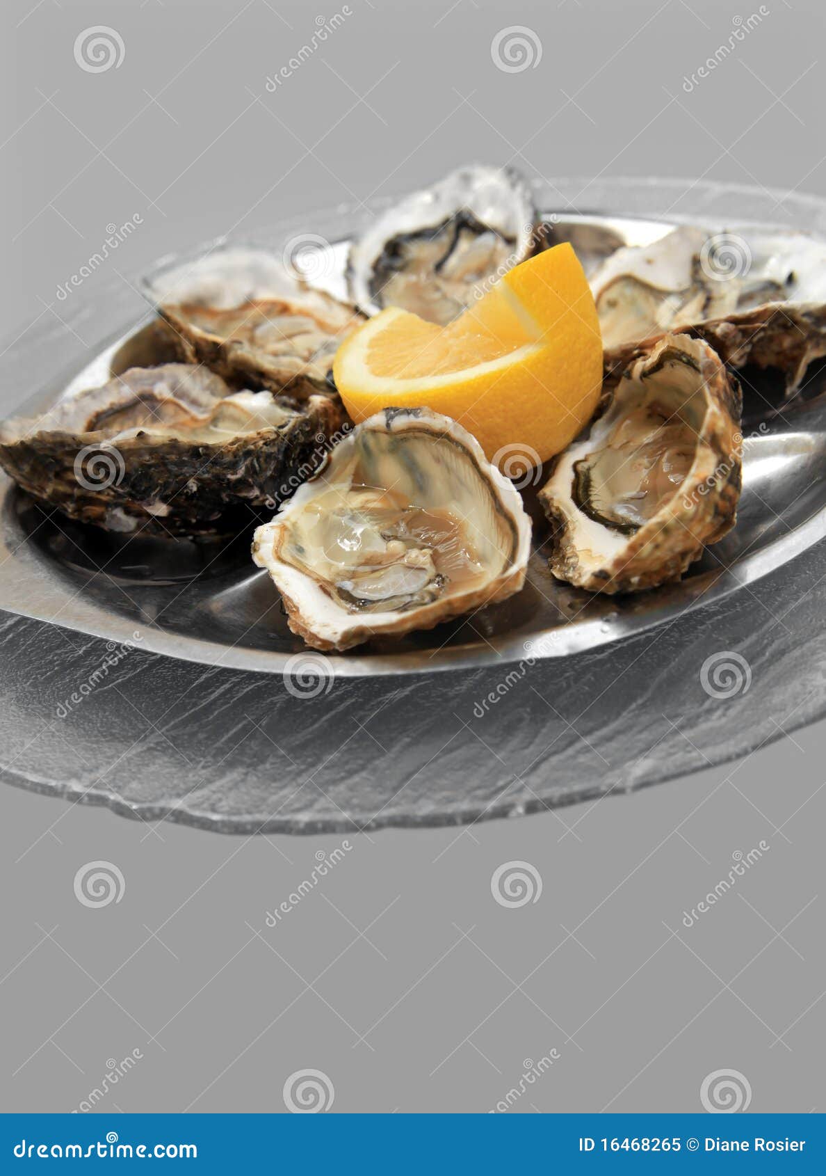 Six oysters on grey stock image. Image of isolated, serving 16468265