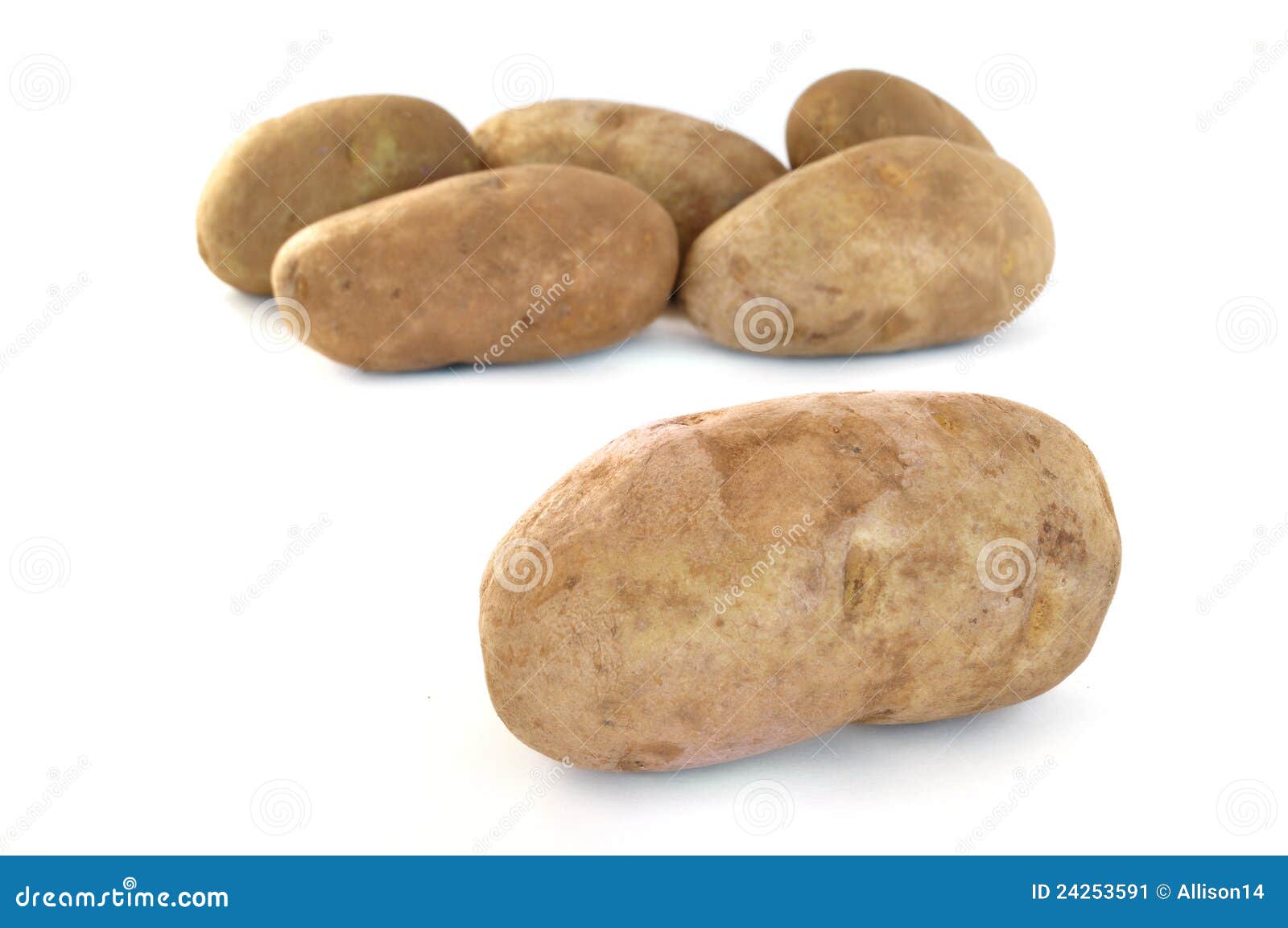Six Raw Russet Potatoes stock image. Image of potatoes 24253591