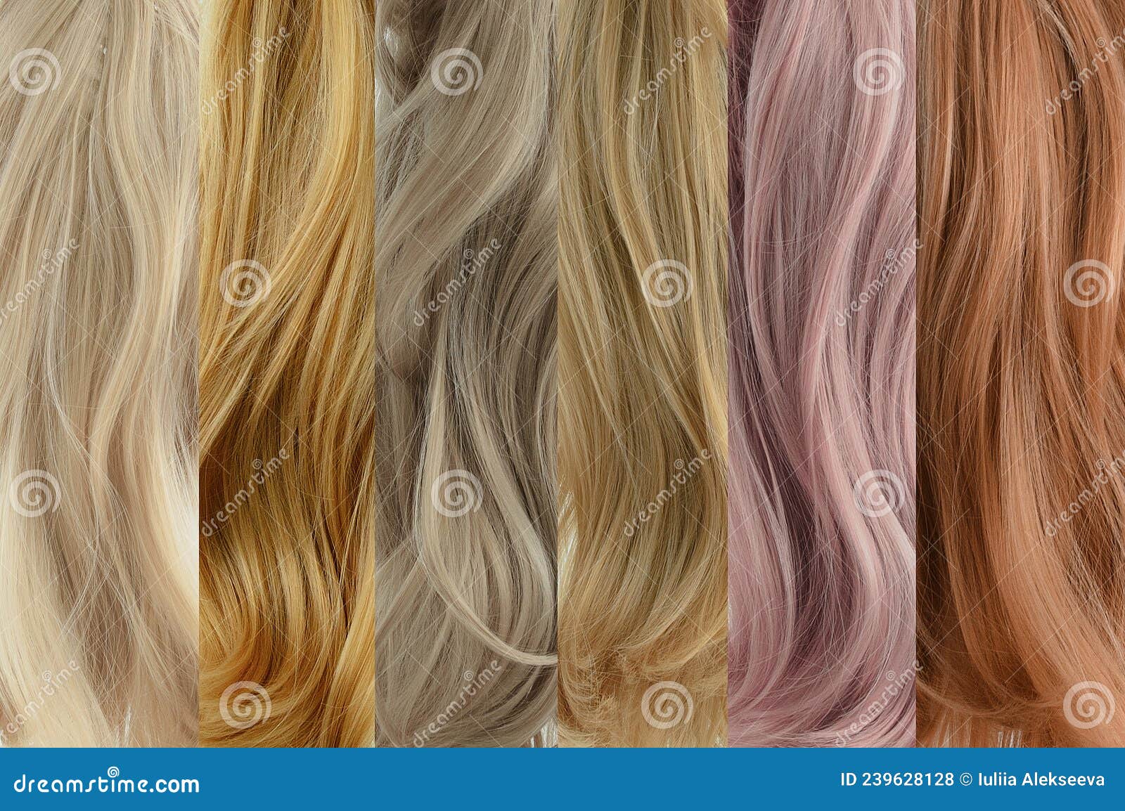 Six Samples of Blonde Hair Strands Different Shades. Hair Coloring Stock Photo - Image of color, hair: 239628128 Six Samples of Blonde Hair Strands Different Shades. Hair Coloring Stock Photo - Image of color, hair: 239628128
