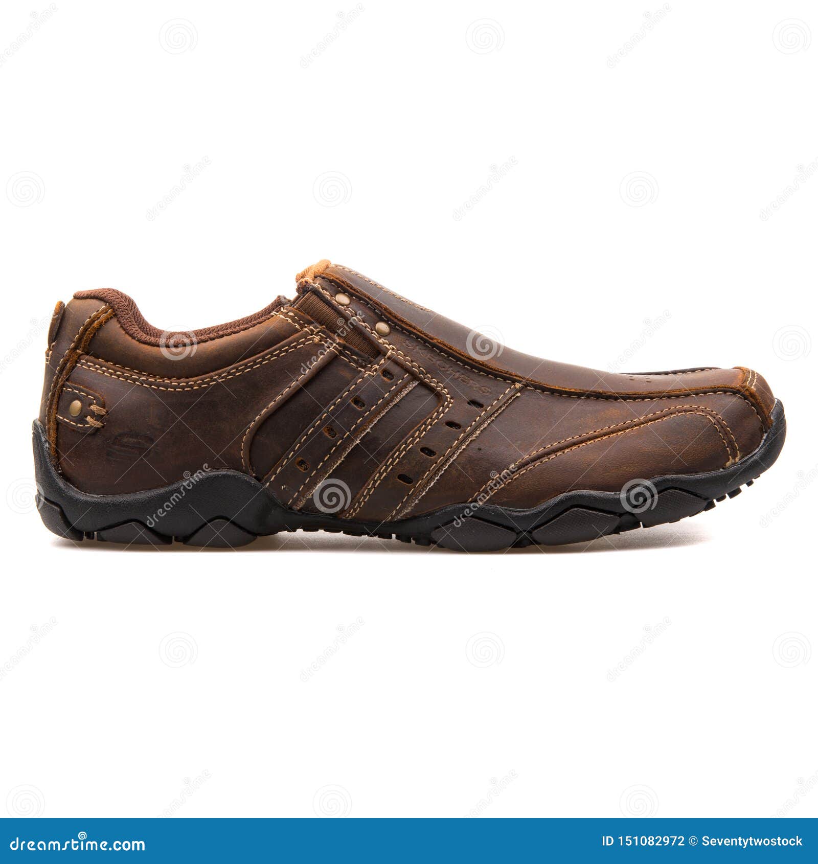 mælk imod liter Skechers Diameter Dark Brown Sneaker Editorial Photography - Image of  laces, shoes: 151082972