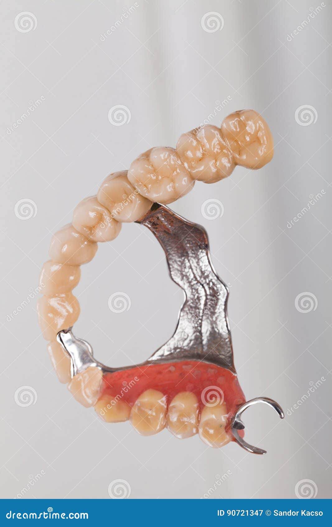 Skeletal Prosthesis - Art of Dentsitry Stock Image - Image of artificial,  oral: 90721347