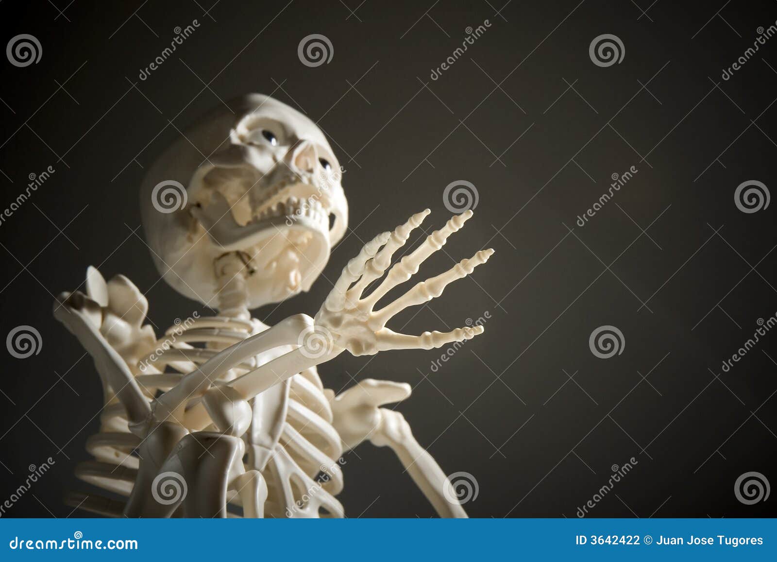 Skeleton On Black Background Stock Photo - Image of bones, connected