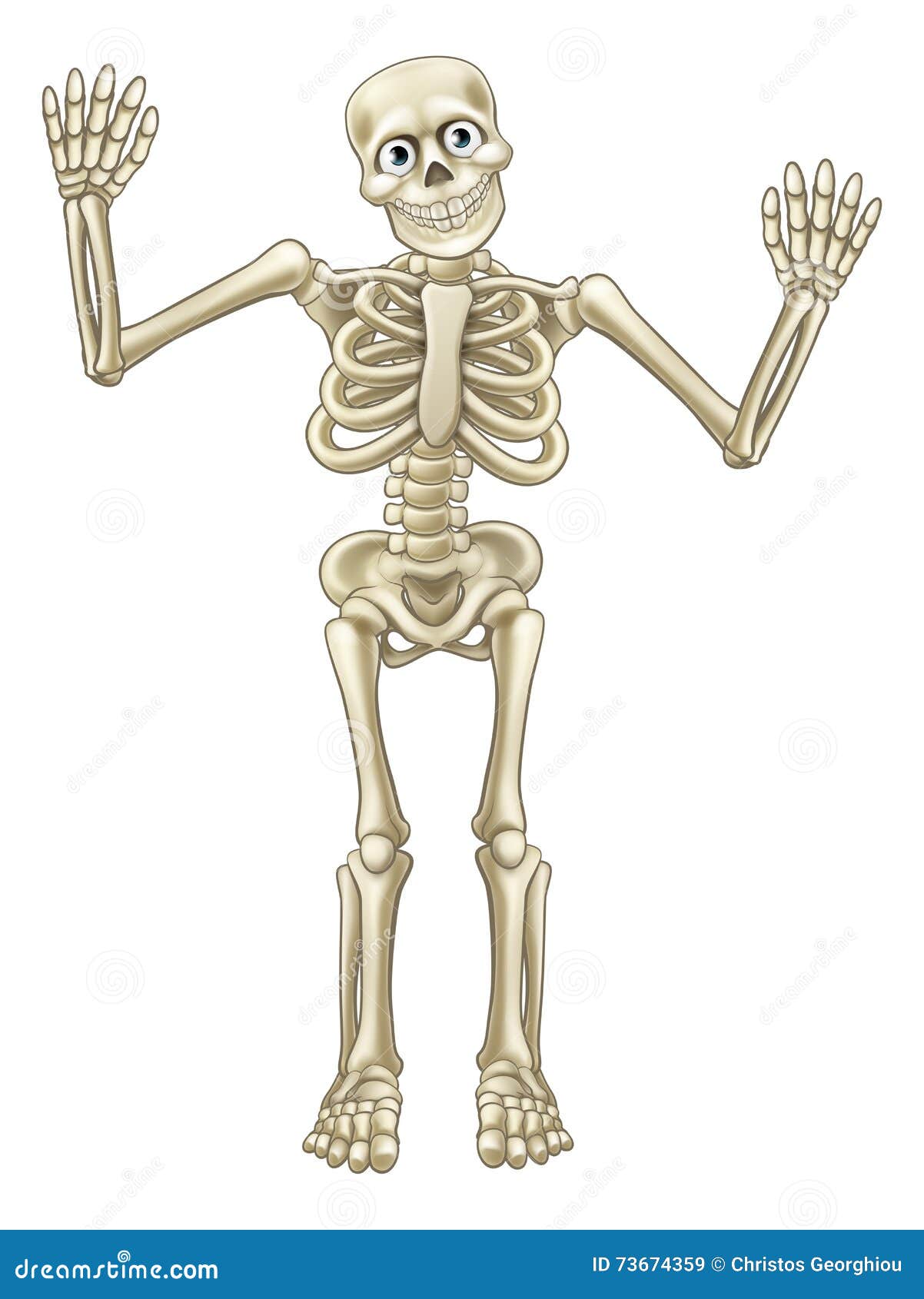 Skeleton Cartoon Waving Hands Stock Vector - Illustration of sceleton, drawing: 73674359 Skeleton Cartoon Waving Hands Stock Vector - Illustration of sceleton, drawing: 73674359