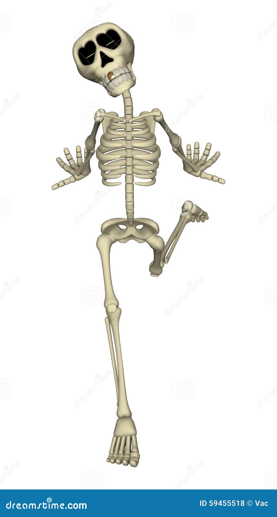 Skeleton stock illustration. Illustration of head, skull - 59455518