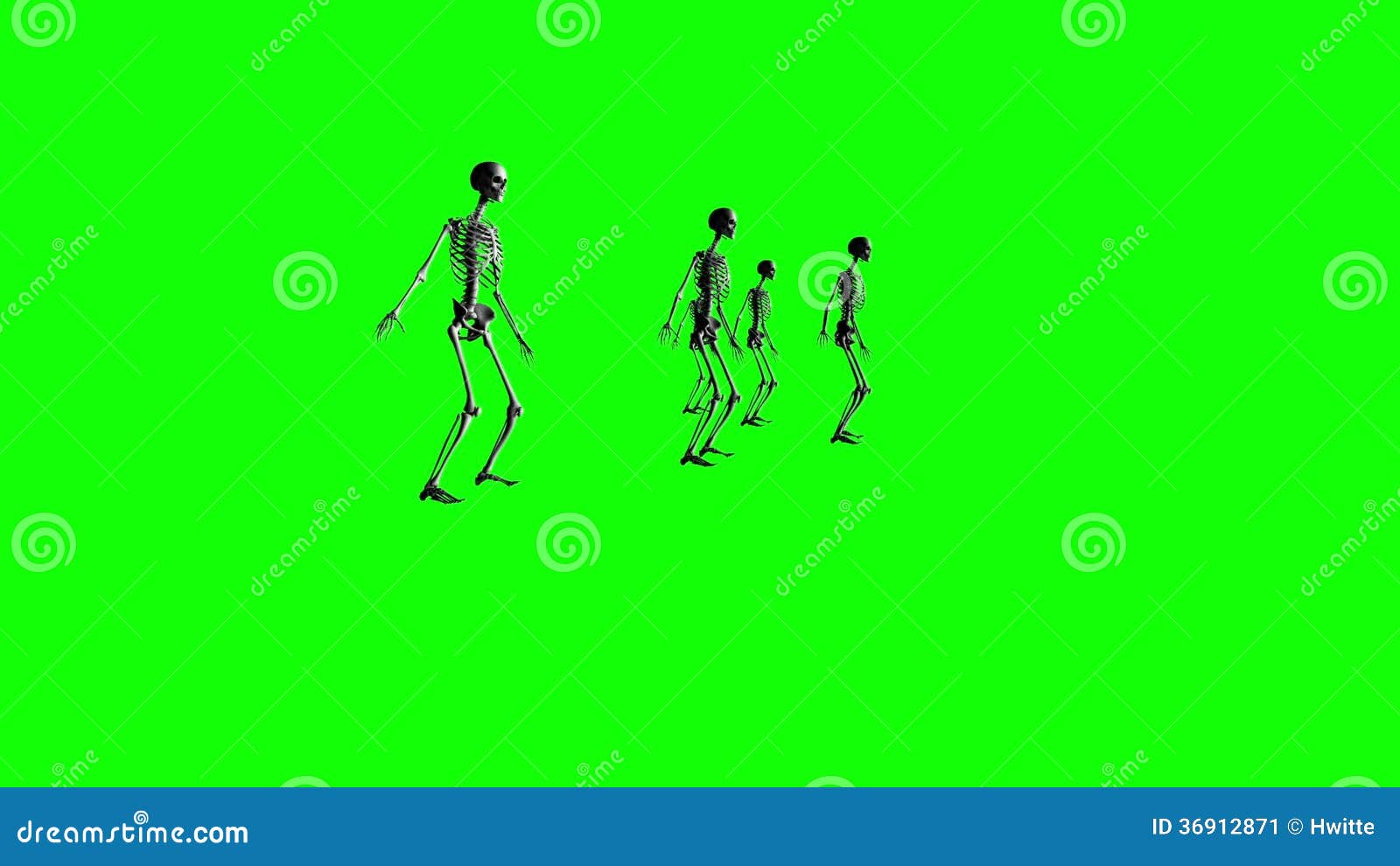 Skeleton Dance 2 stock video. Video of male, animation 36912871