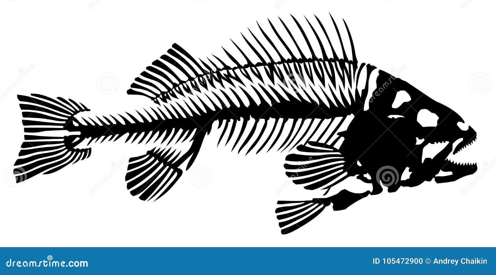 Download Skeleton of fish. stock vector. Illustration of bones - 105472900