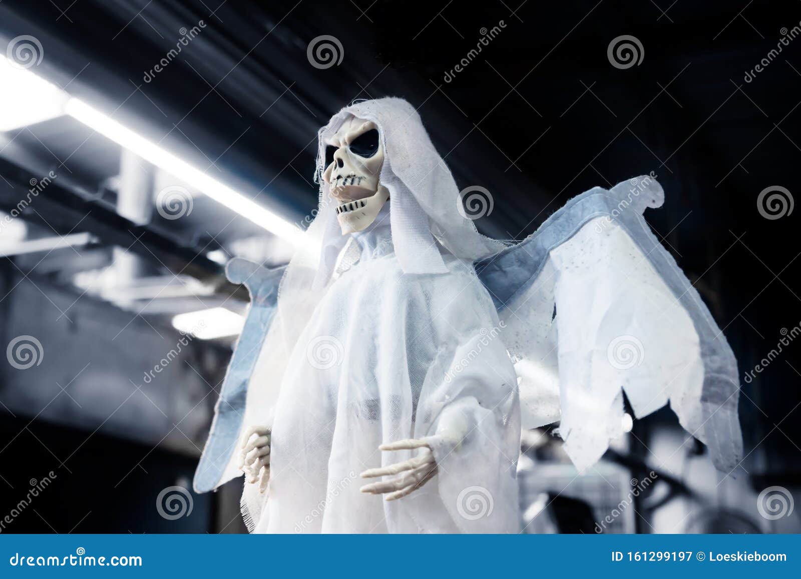 ghost of skeletor