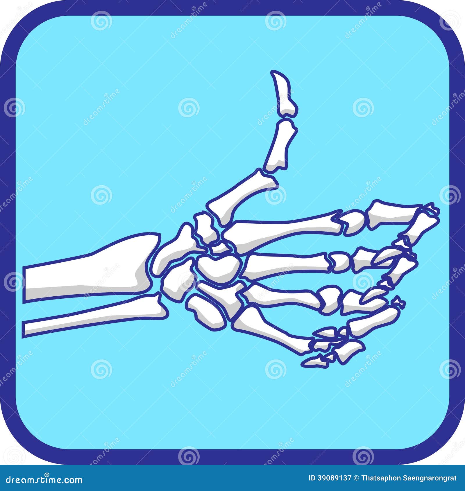 hand x ray clipart - photo #19