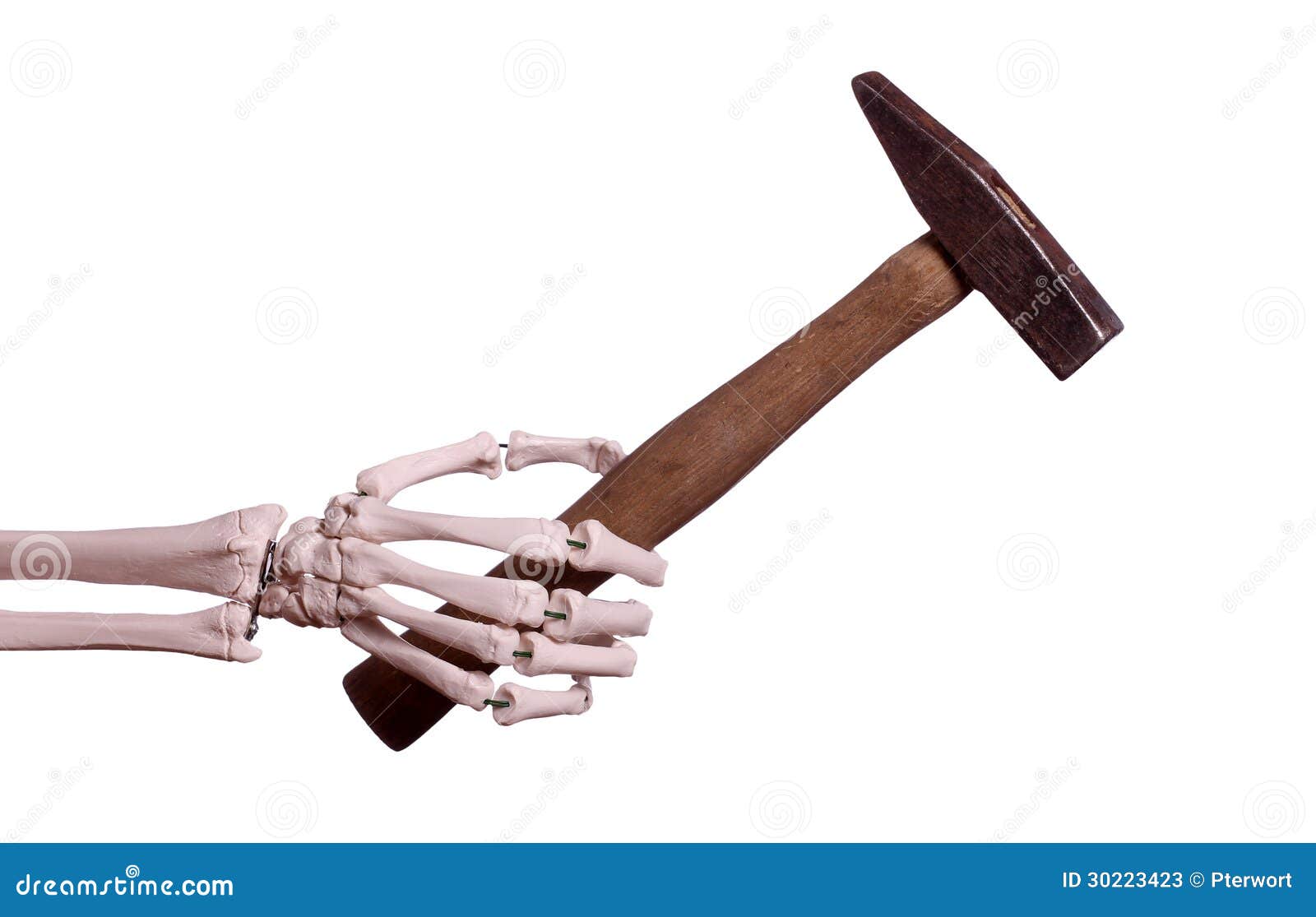 Skeleton Hand With Old Hammer Stock Photos - Image: 30223423