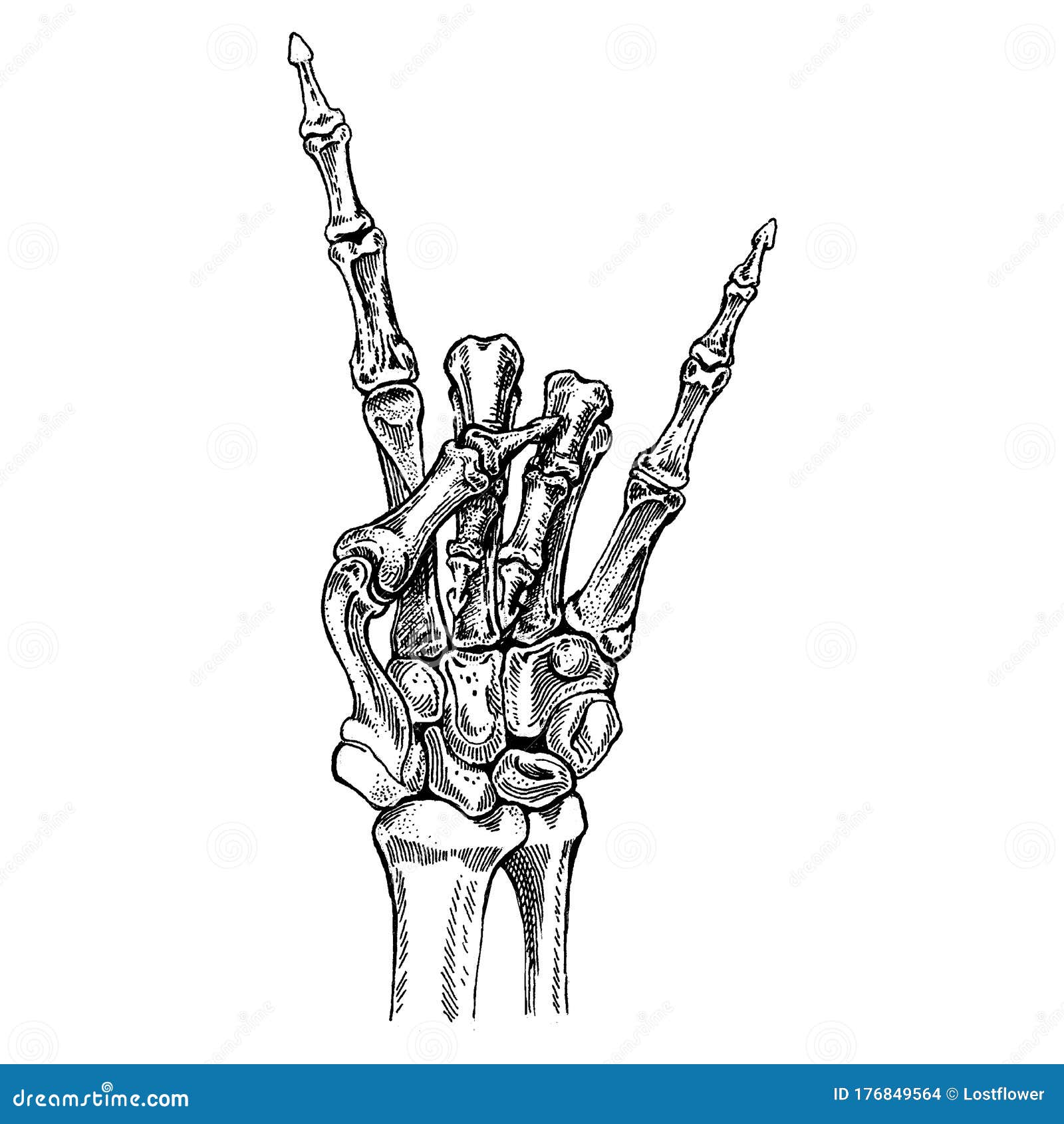 rock on skeleton hand background