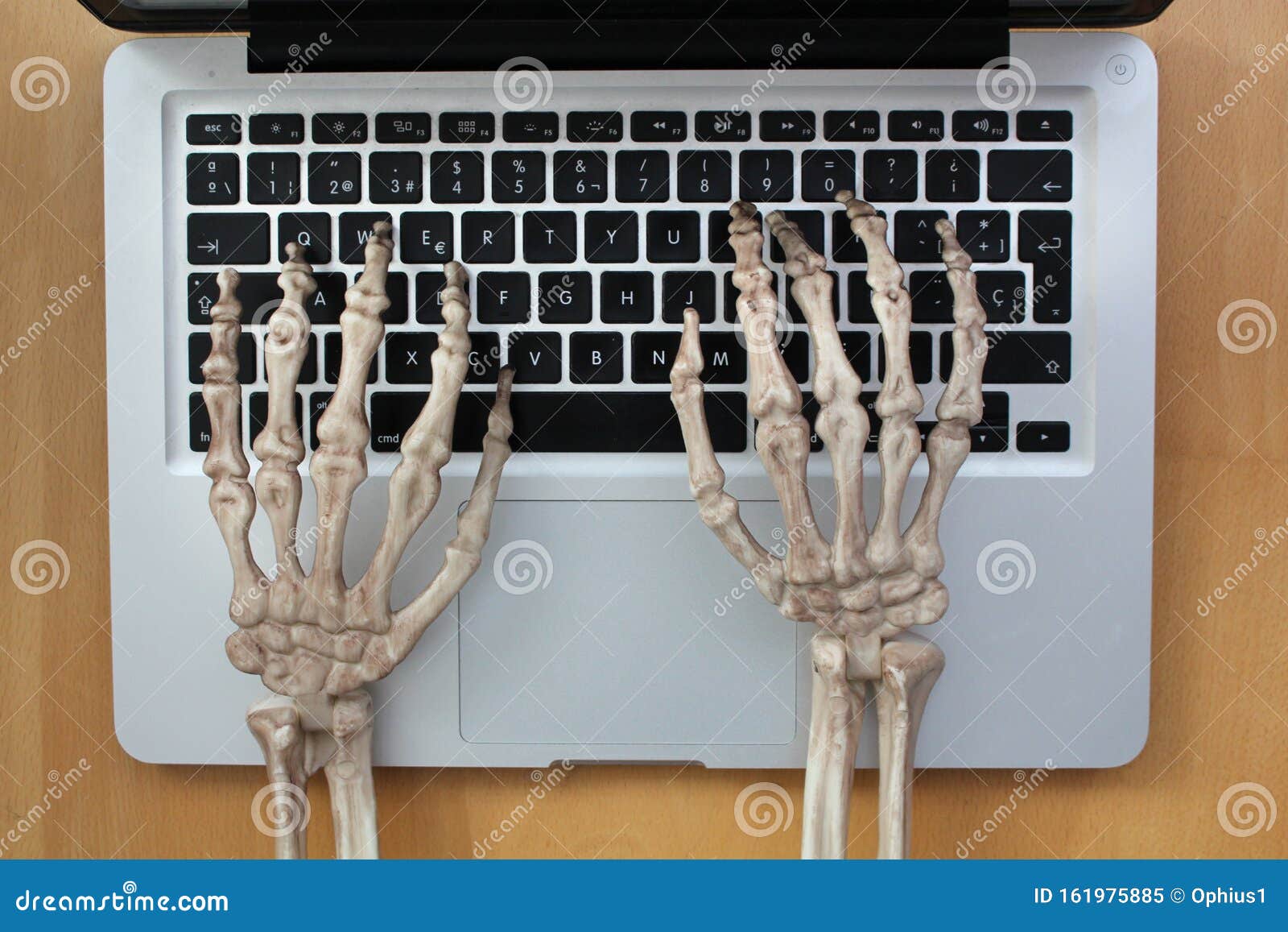 skeleton hands typing on laptop.