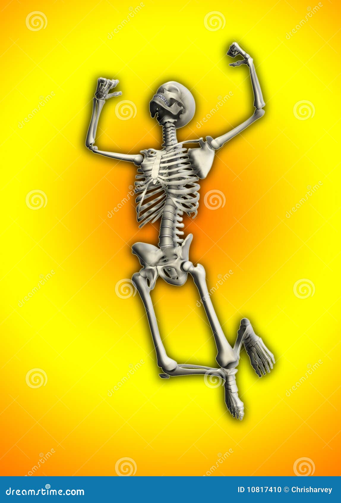 Skeleton Jumping Stock Photo Image 10817410