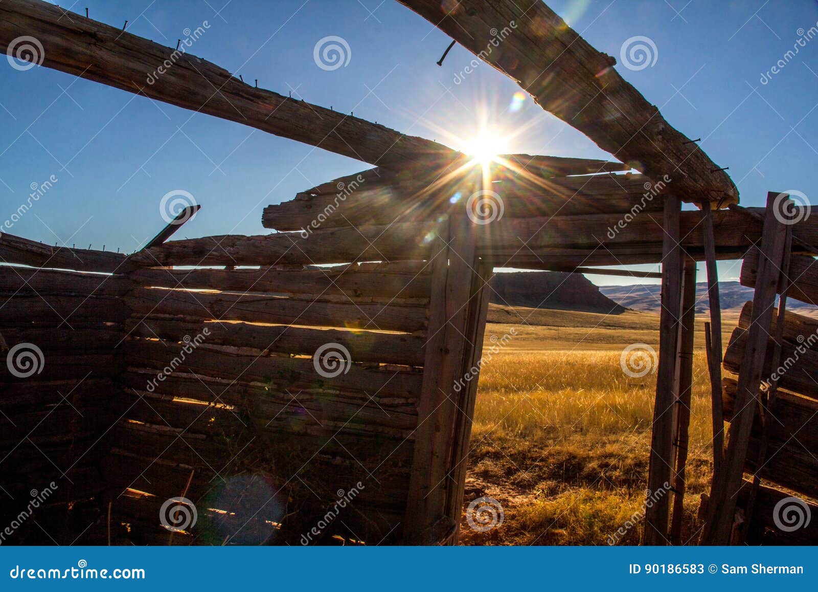 skeleton of old wyoming homestead