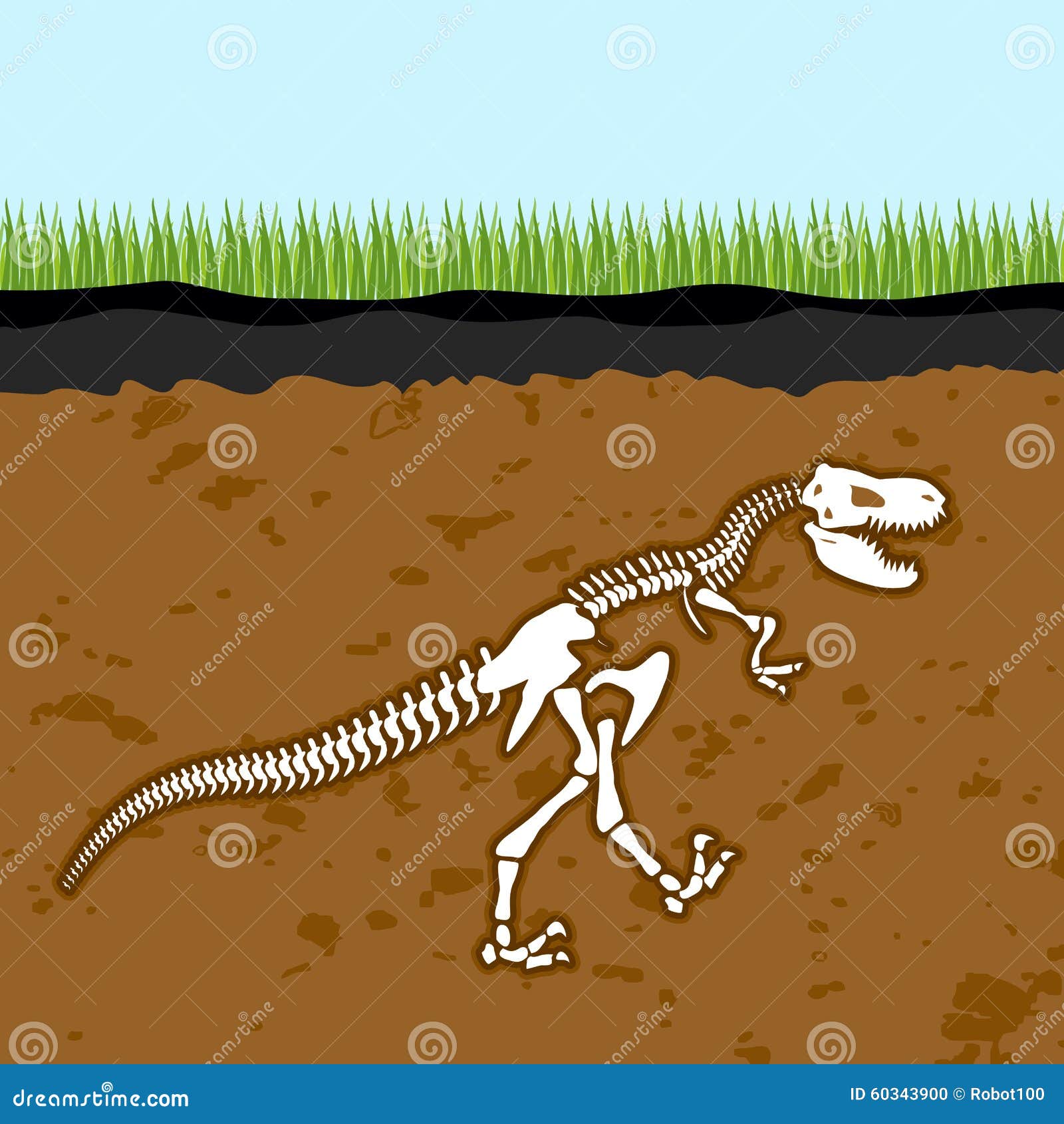 Skeleton Of Tyrannosaurus Rex. Dinosaur Bones In Earth. Fossil Stock Vector - Image: 60343900