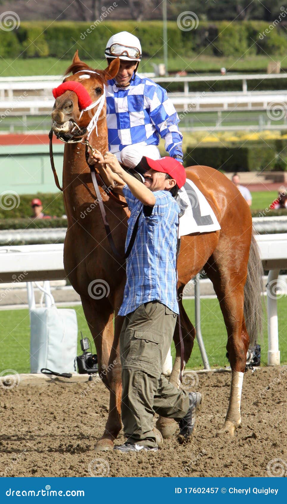 Skellytown Wins a Claimer editorial photography. Image of gamble 17602457