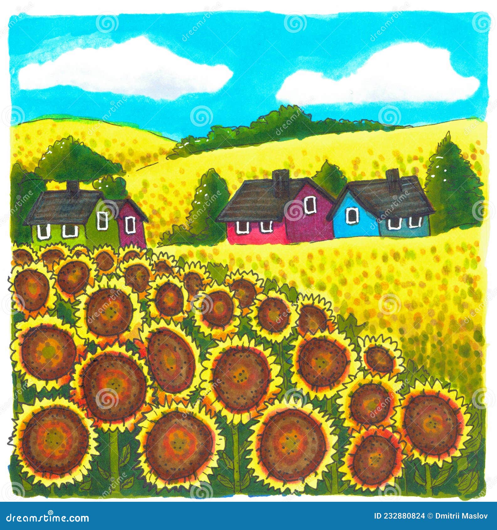 Sunflower in Umbria Drawing by Diane Cardaci The Sketch Hunter  Fine Art  America