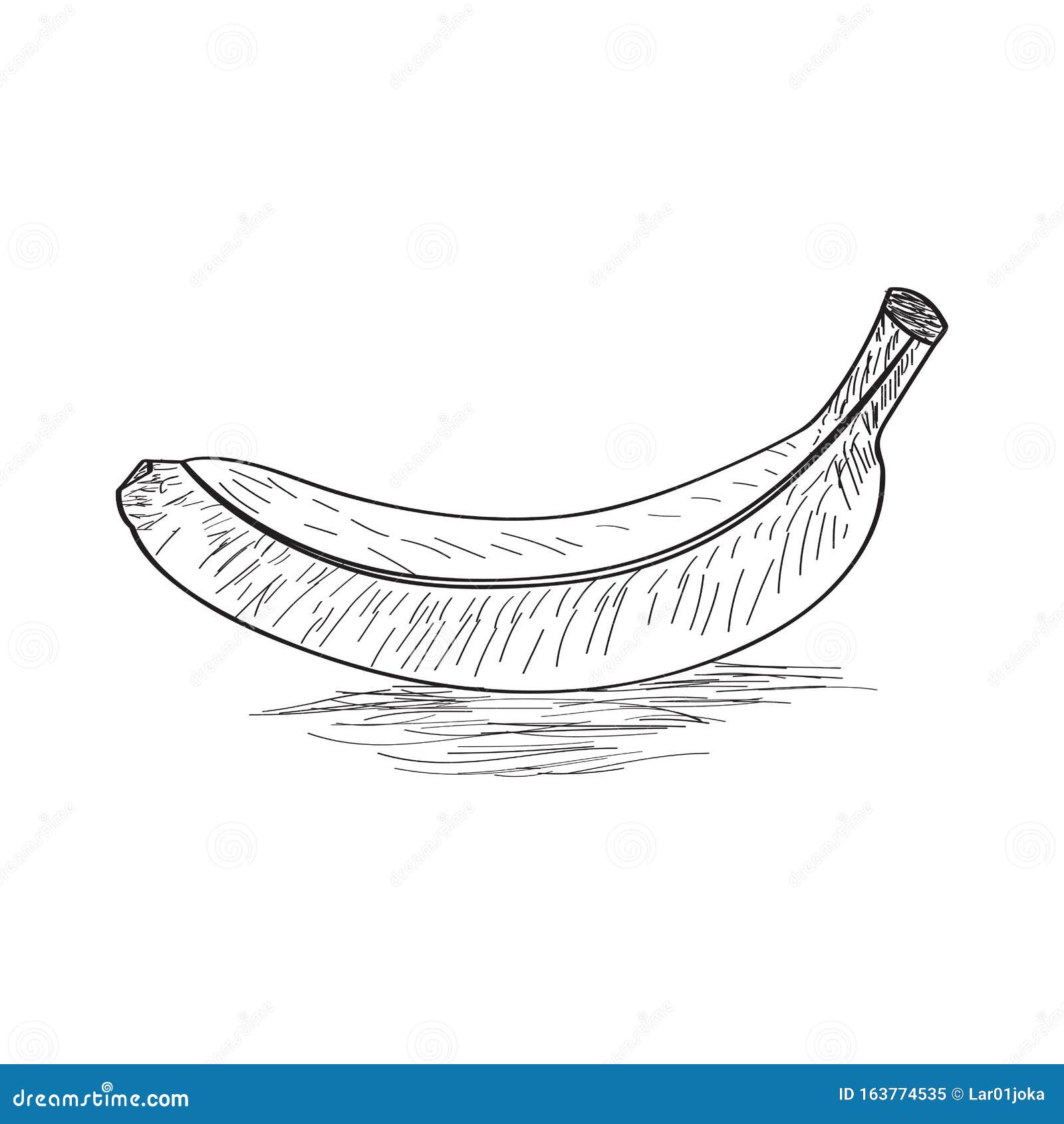 Banana outline illustration. Vector doodle sketch hand drawn fruit  illustration. Stock Vector | Adobe Stock